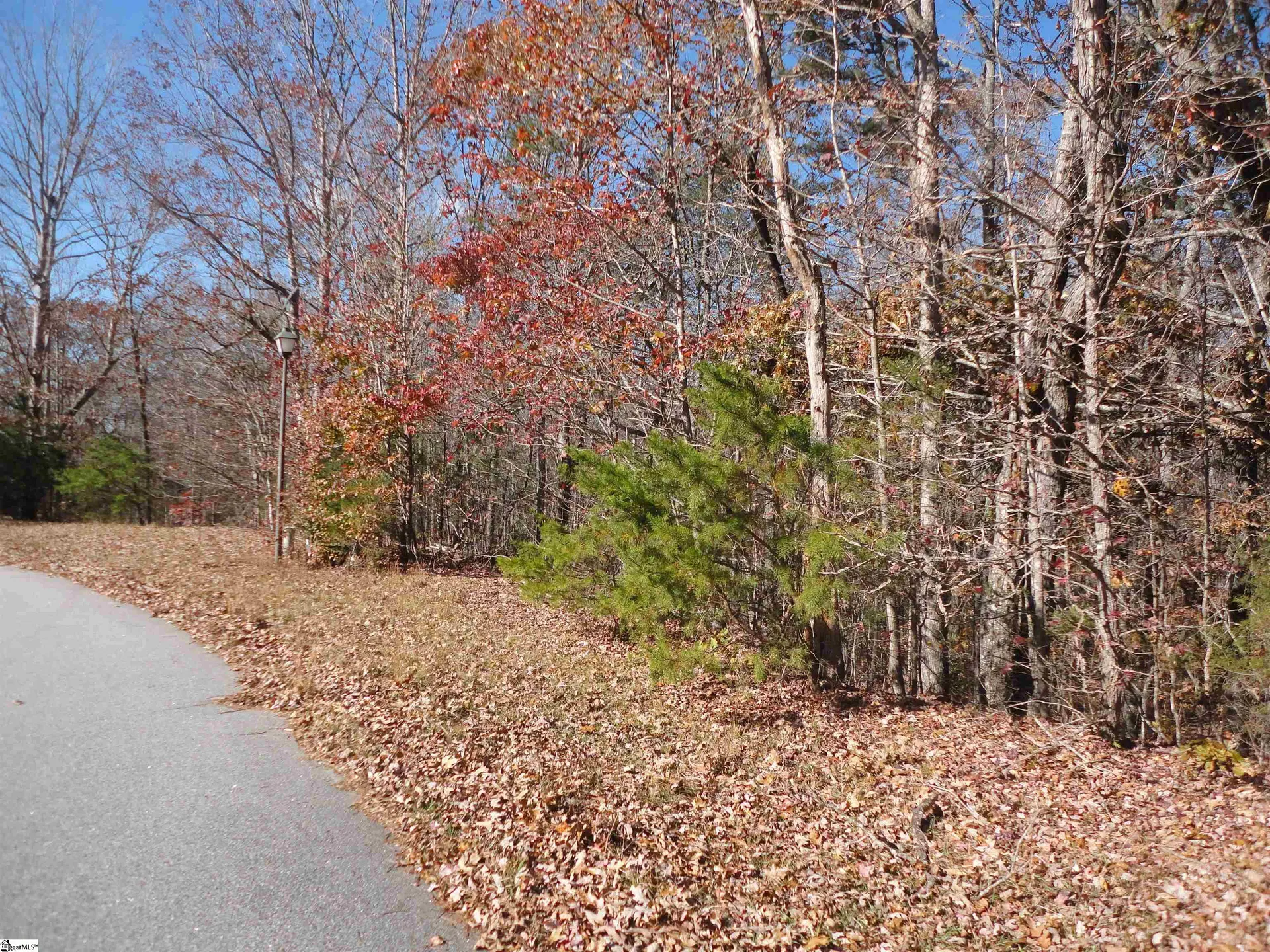 148 Timberstone Trail