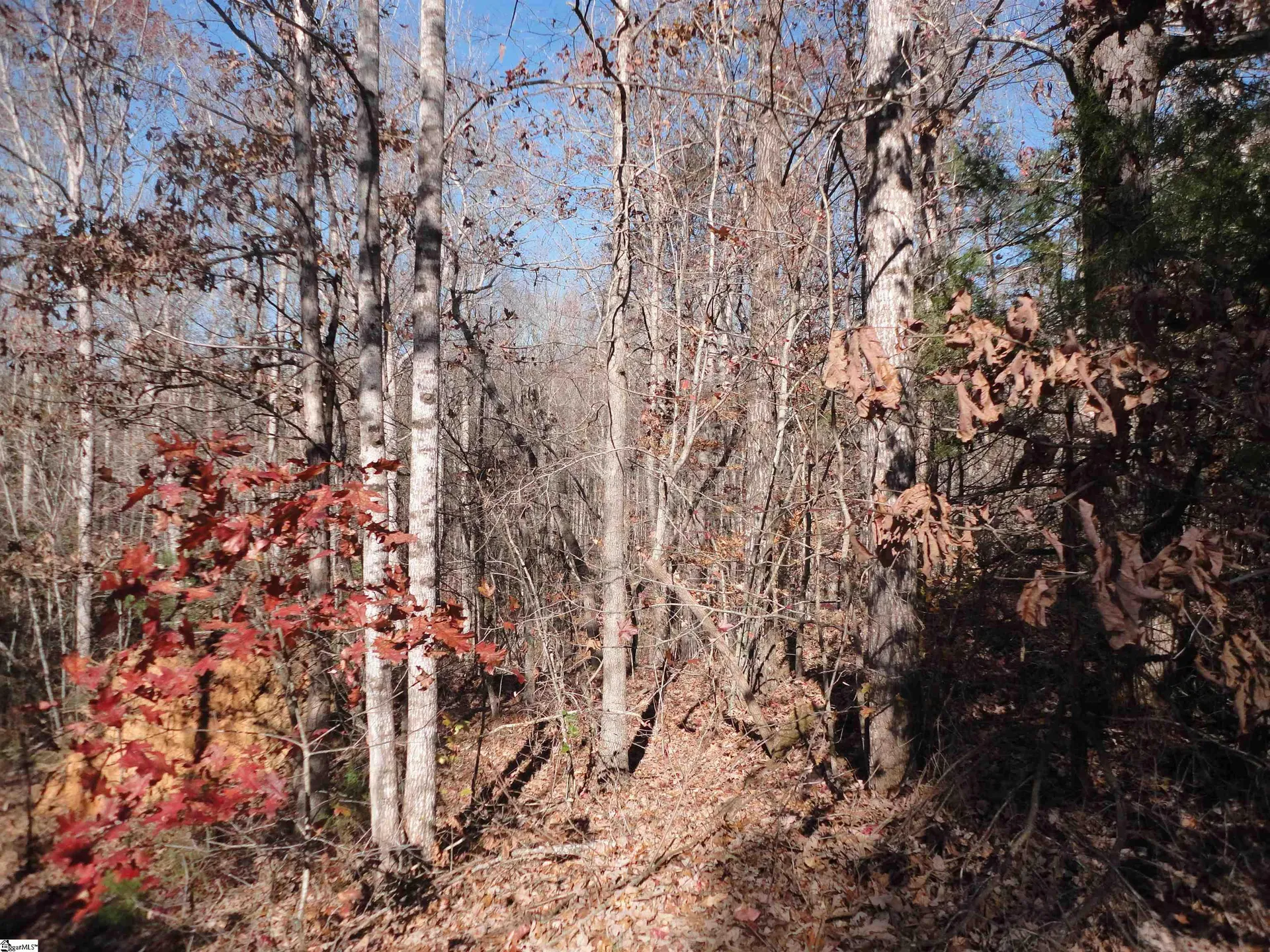 Property image 3 at 148 Timberstone Trail, Six Mile, SC 29682
