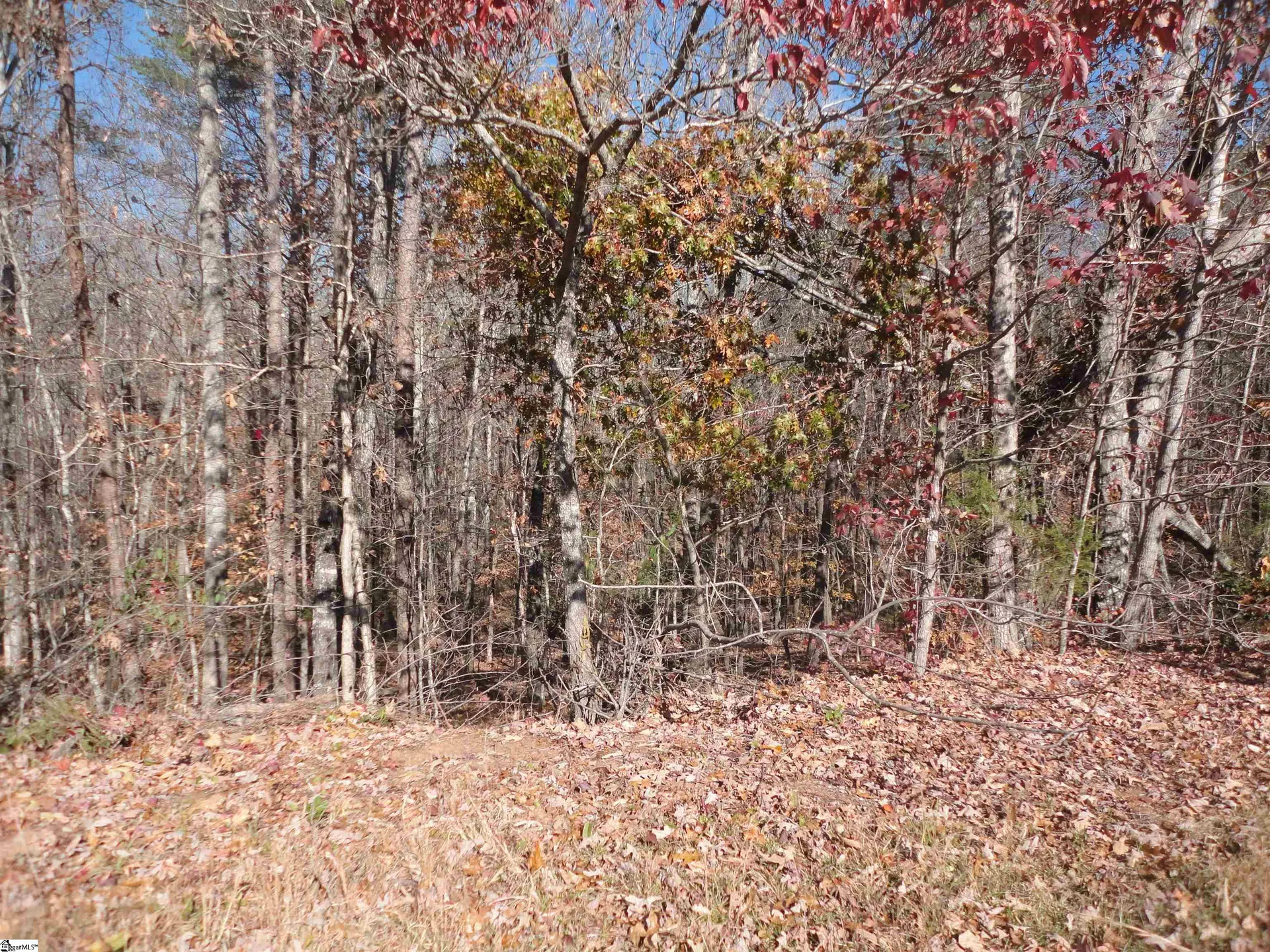 Property image 5 at 148 Timberstone Trail, Six Mile, SC 29682