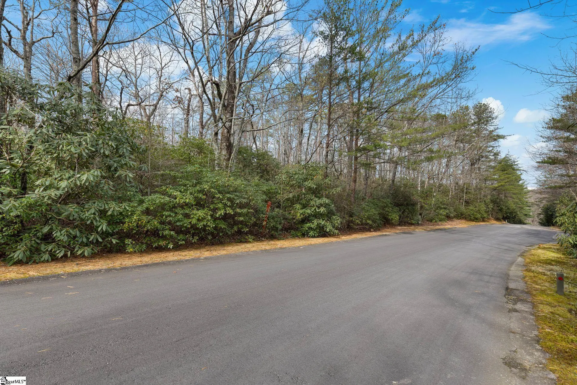 Property image 5 at 00 Conifer Falls Road, Cleveland, SC 29635