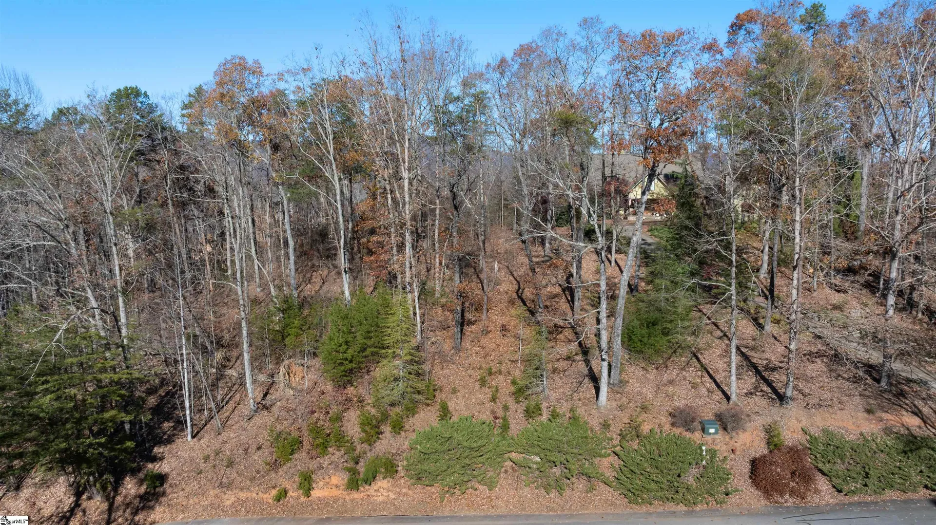 Property image 3 at 219 Luberon Lane, Travelers Rest, SC 29690