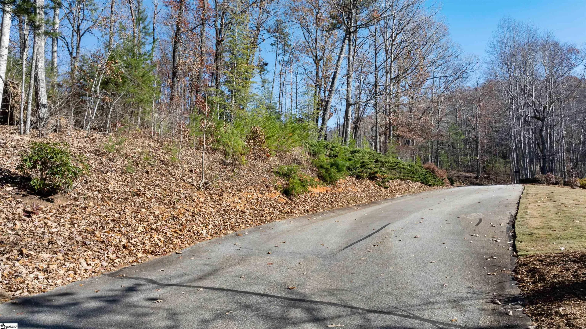 Property image 4 at 219 Luberon Lane, Travelers Rest, SC 29690