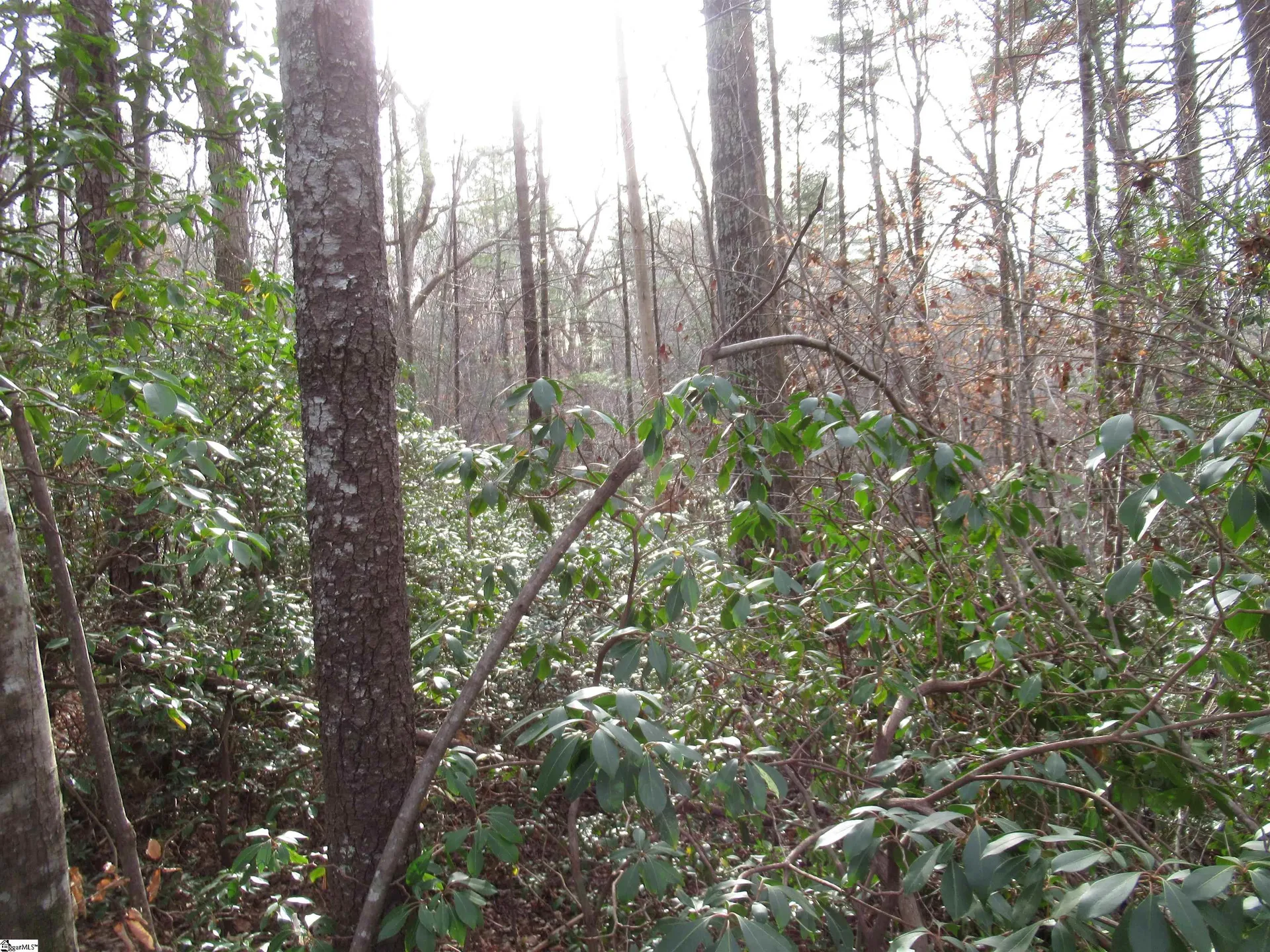 Property image 3 at 213 Falcon Crest Way, Pickens, SC 29671