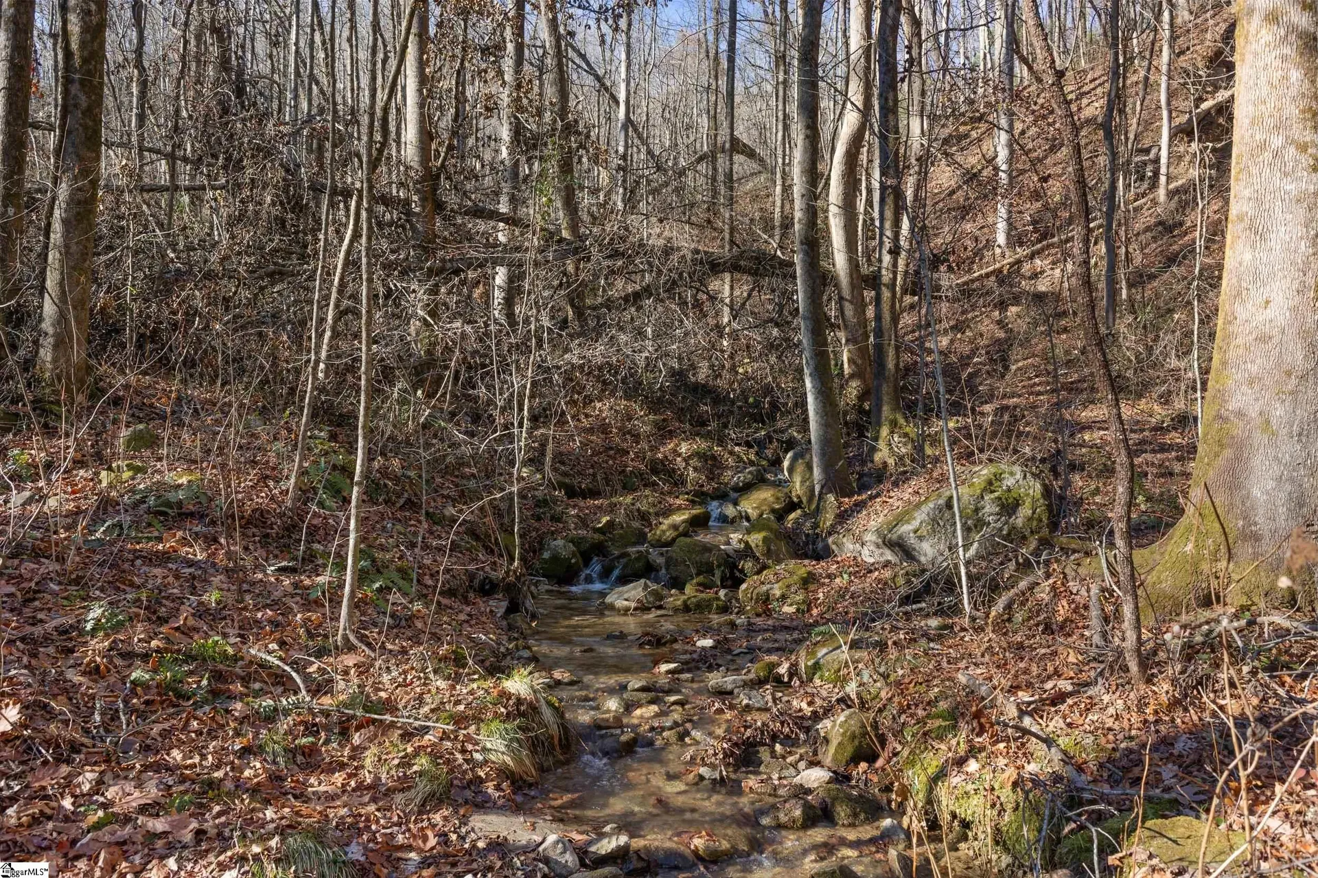 Property image 5 at 00 Panther Park Trail, Travelers Rest, SC 29690