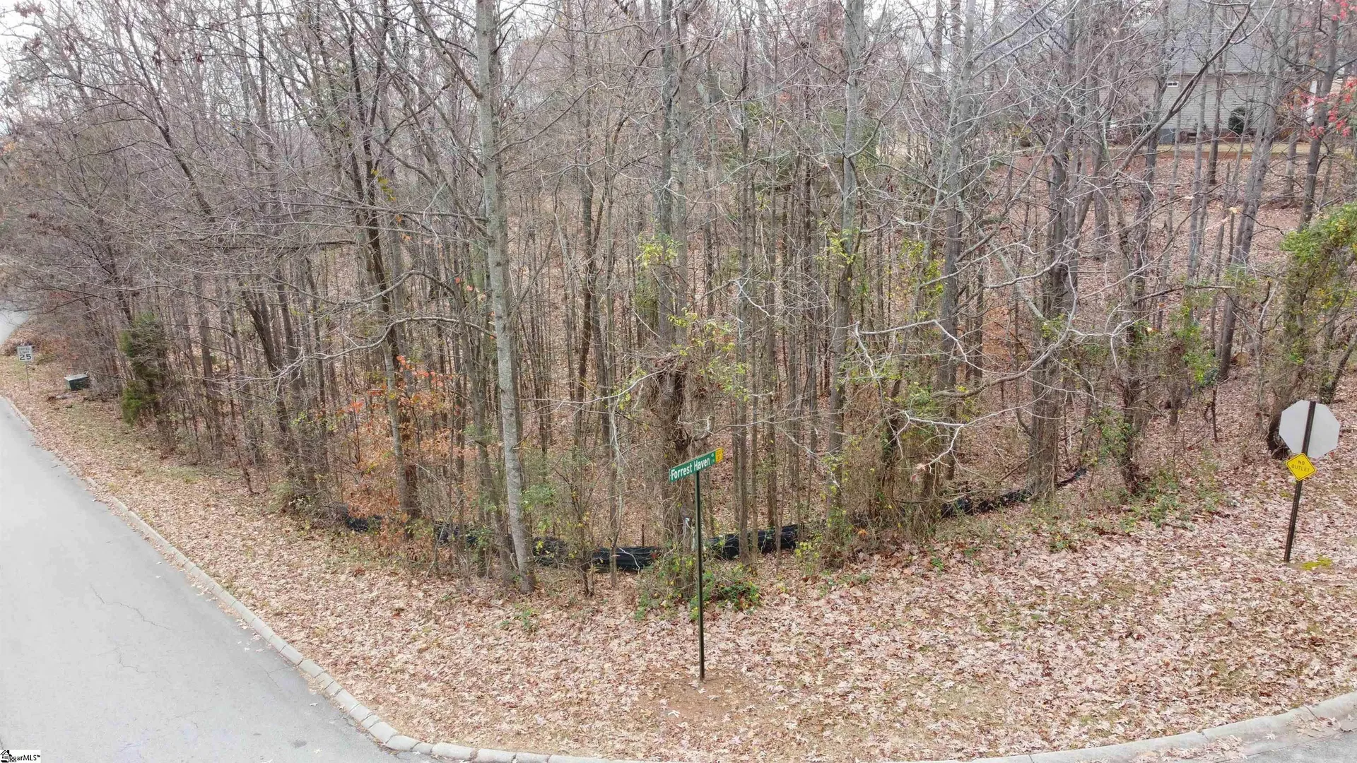 Property image 3 at 0 Club View Drive, Greenville, SC 29609
