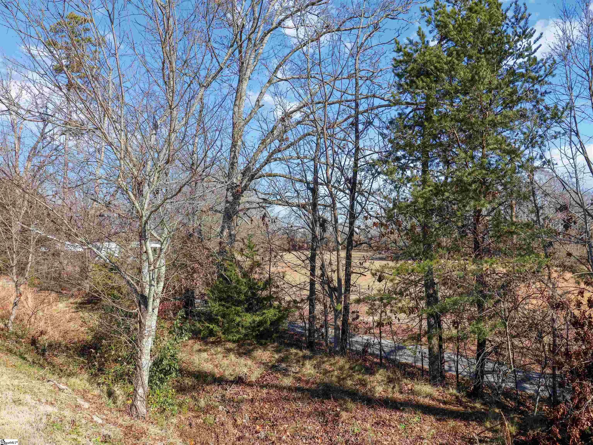 Property image 4 at 39 Eaglecrest Court, Simpsonville, SC 29681