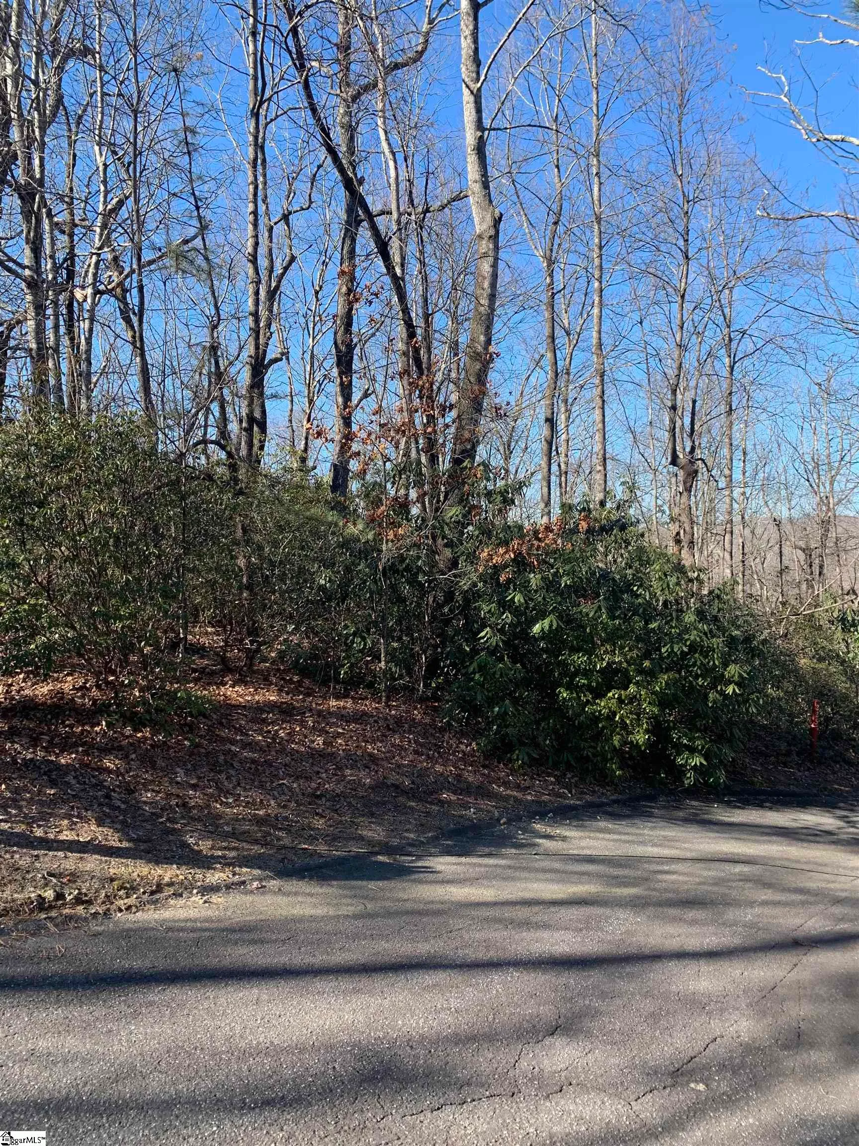 Property image 2 at 000 Cliff Ridge Drive, Cleveland, SC 29635