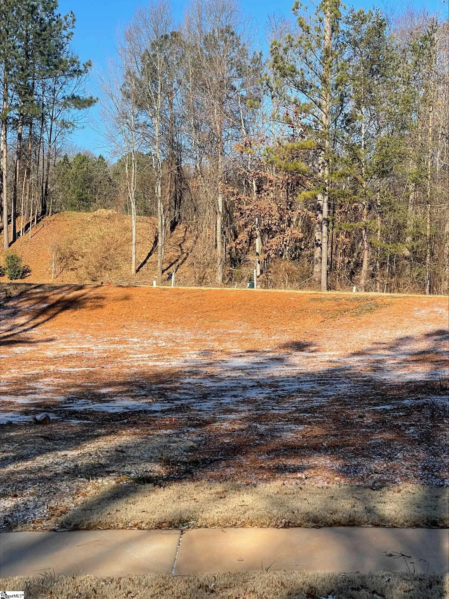 Chanticleer, Greenville Community