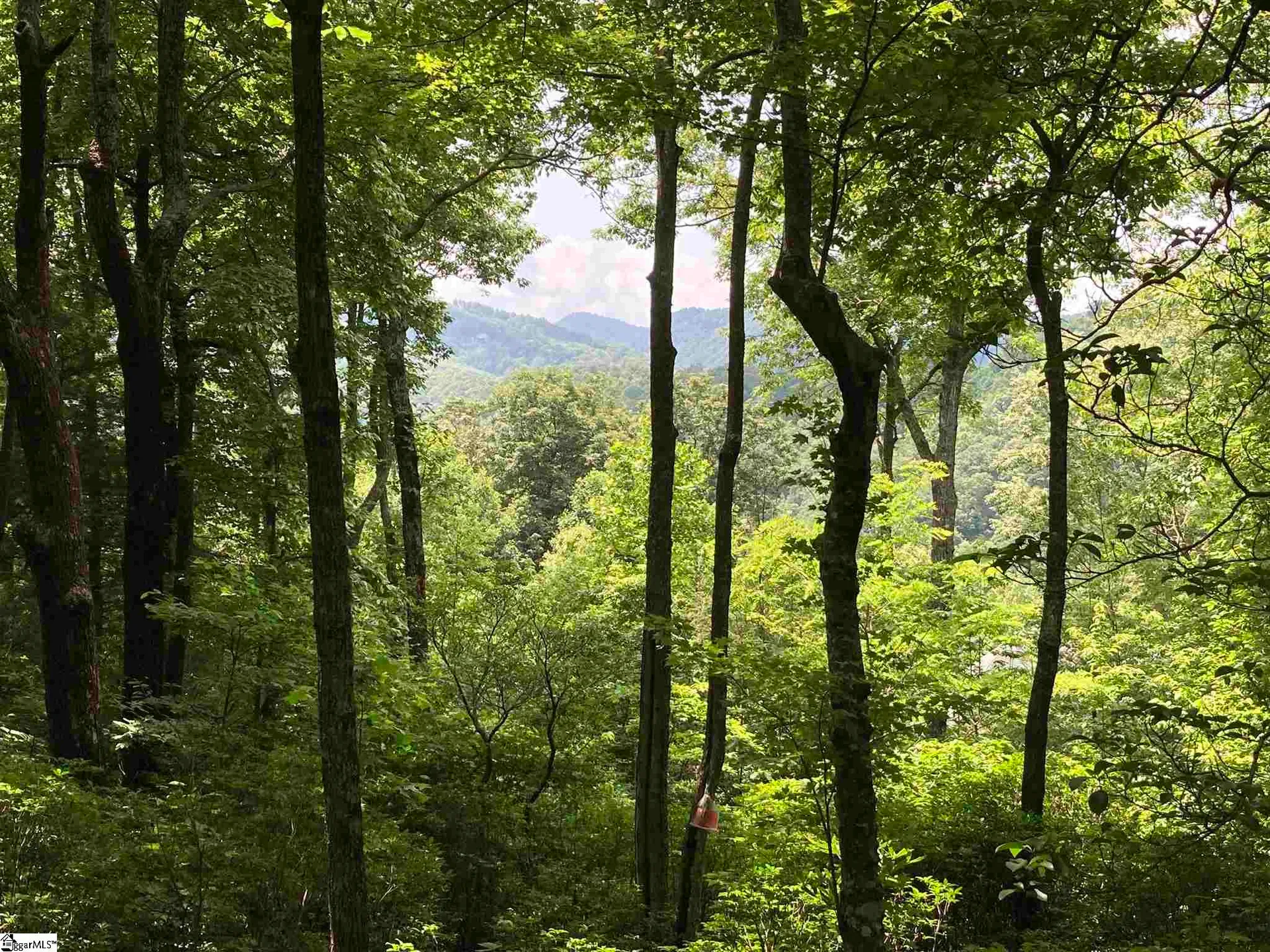 Property image 4 at 21 High Vista Way, Travelers Rest, SC 29690