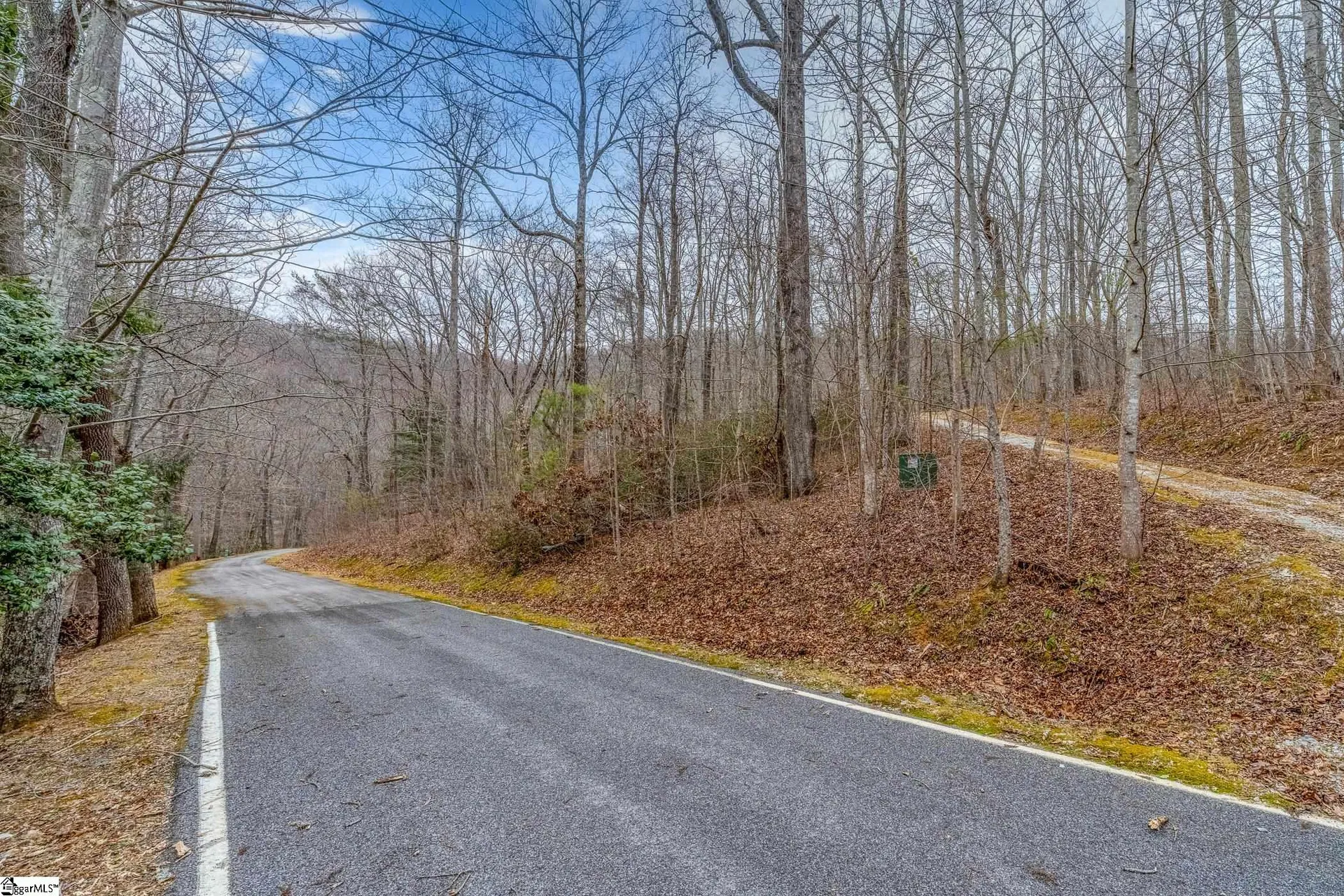 Property image 2 at 8 Granite Falls Drive, Landrum, SC 29356-3329