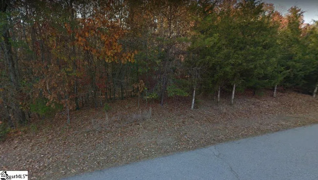 Property image 2 at 125 E Peninsula Drive, Laurens, SC 29360
