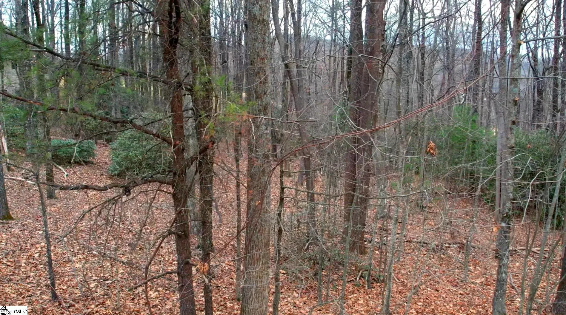 Property image 4 at 66 Cliffs Parkway, Landrum, SC 29356