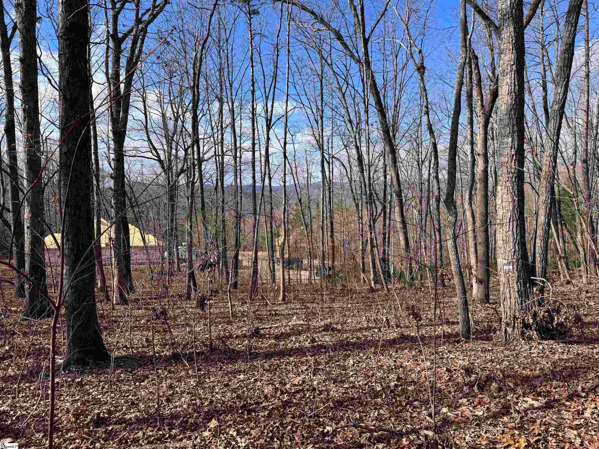 Property image 4 at 22 Alsace Way, Travelers Rest, SC 29690