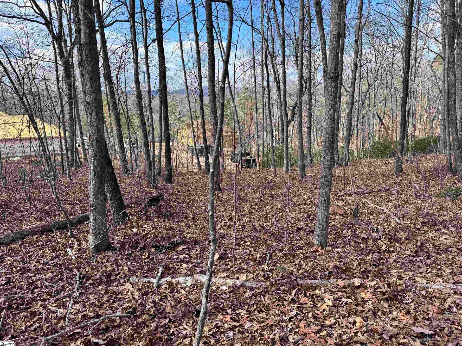 Property image 5 at 22 Alsace Way, Travelers Rest, SC 29690