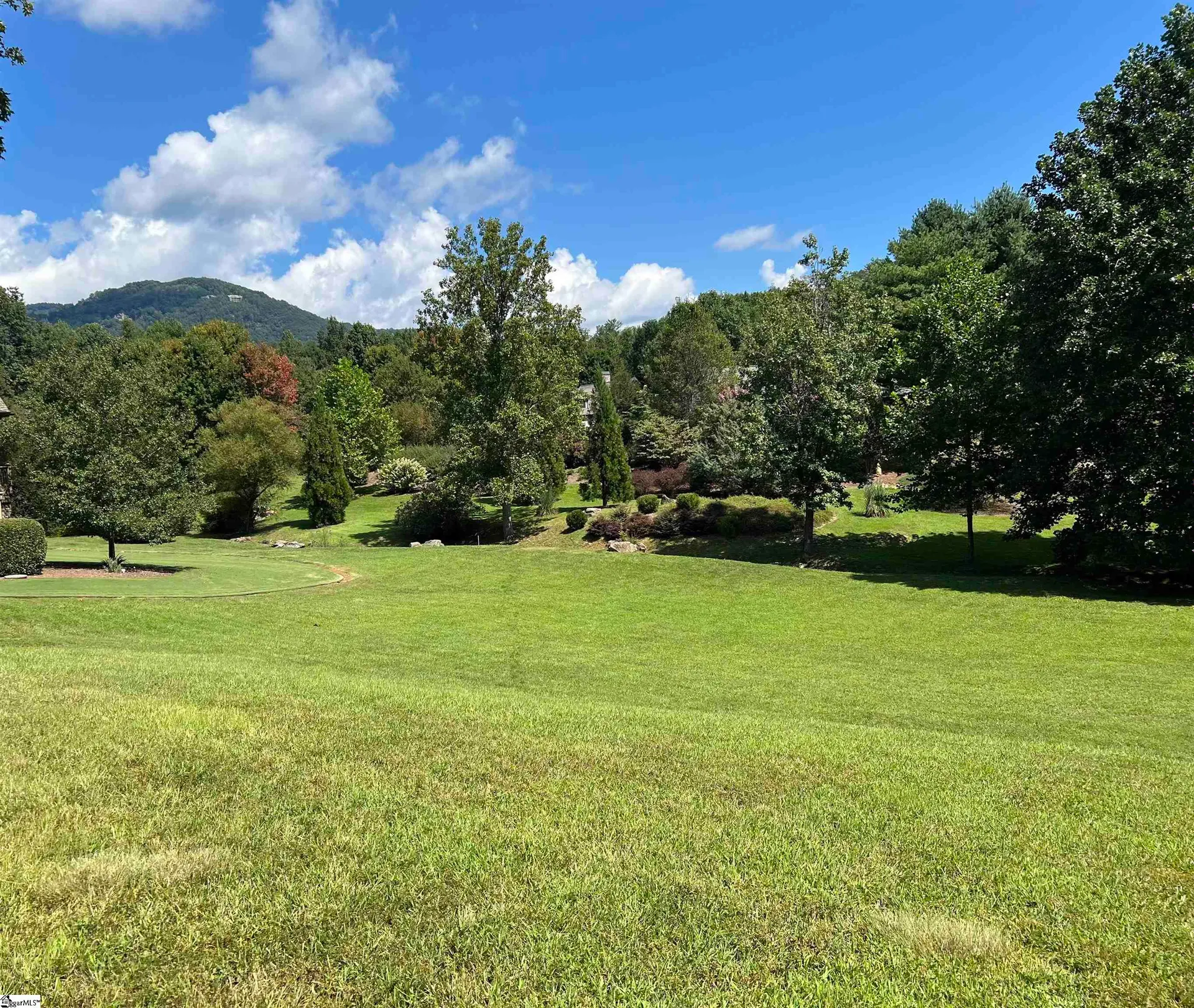 315 Split Creek Trail