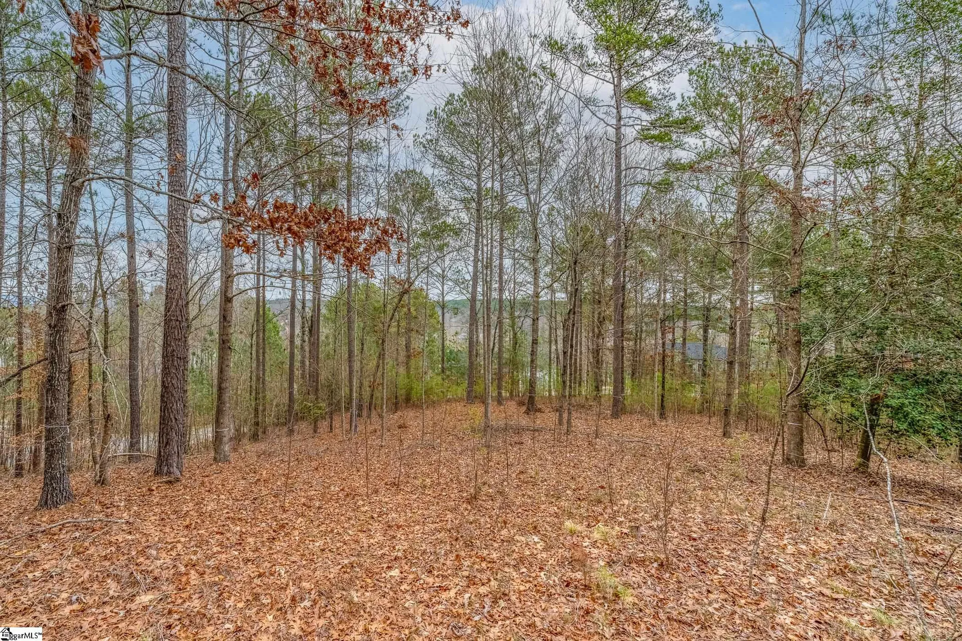 Property image 3 at 335 Long Cove Trail, Salem, SC 29676