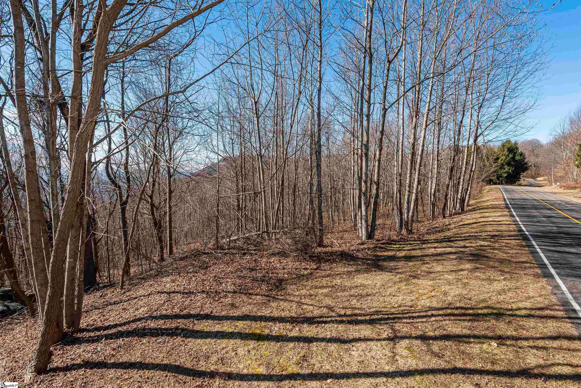 Property image 2 at 116 May Apple Way, Landrum, SC 29356
