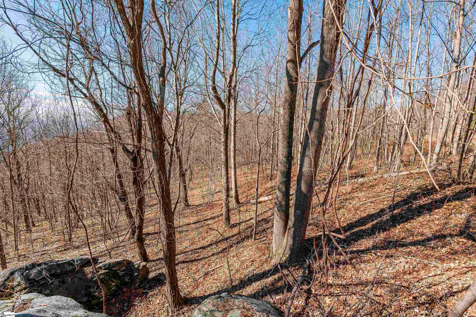 Property image 4 at 116 May Apple Way, Landrum, SC 29356
