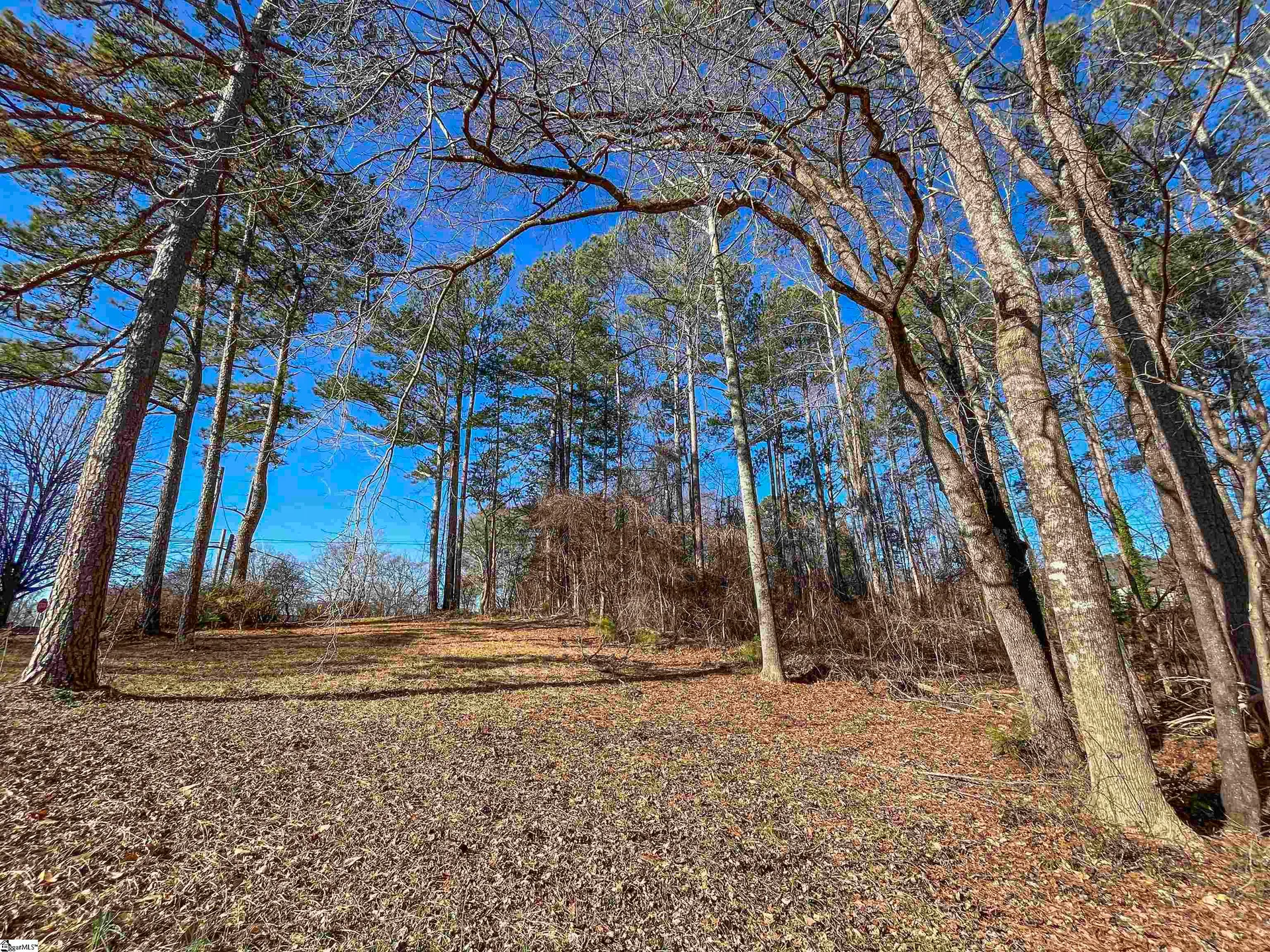 Property image 3 at 00 Friendship Drive, Pickens, SC 29671