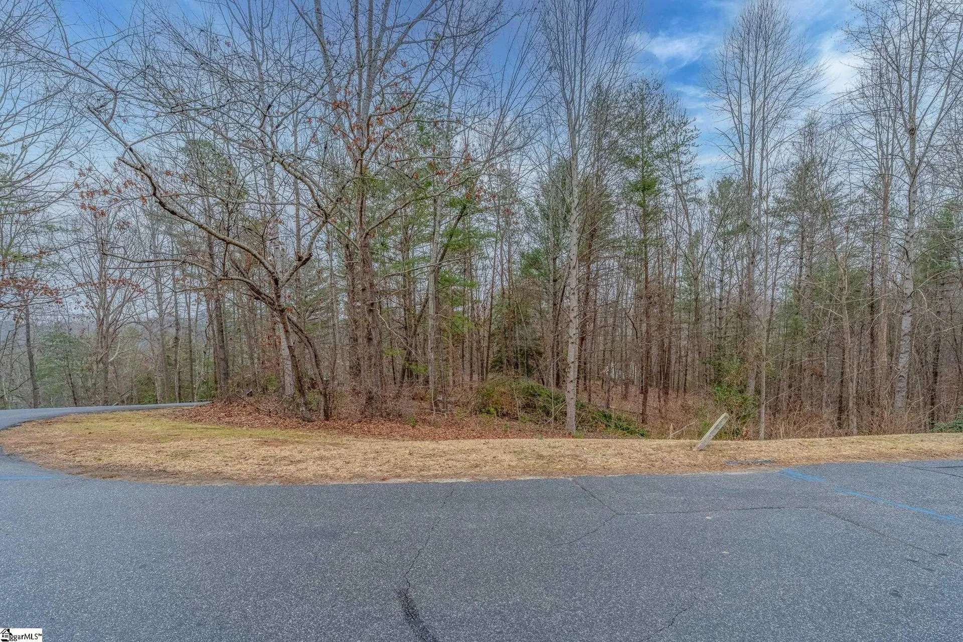Property image 4 at 00 Black Eyed Susan Lane, Sunset, SC 29685