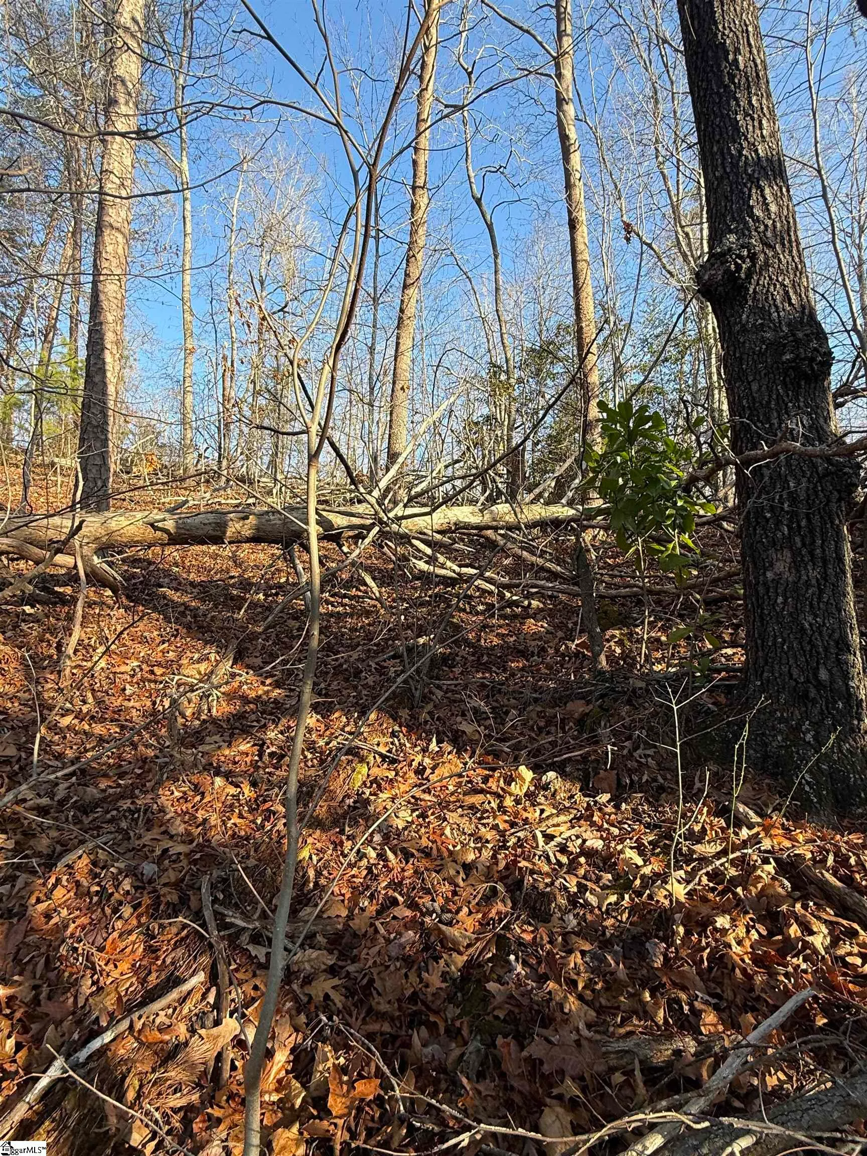 Property image 3 at 0000 W Lakeshore Drive, Landrum, SC 29356
