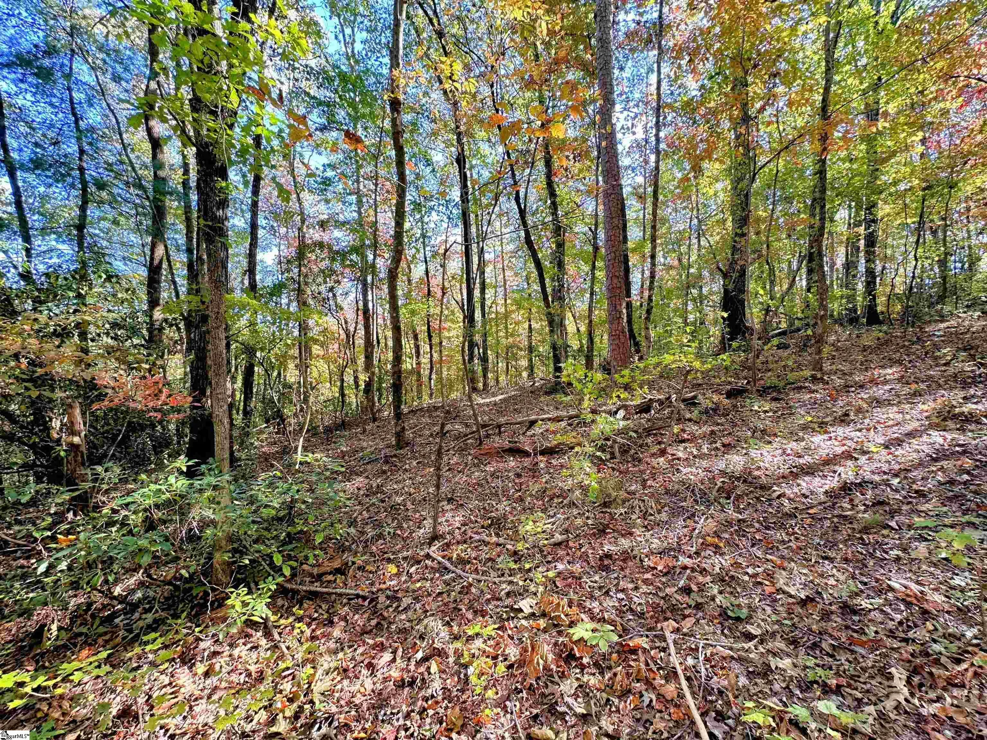 Property image 4 at 0000 Forest Drive, Travelers Rest, SC 29690
