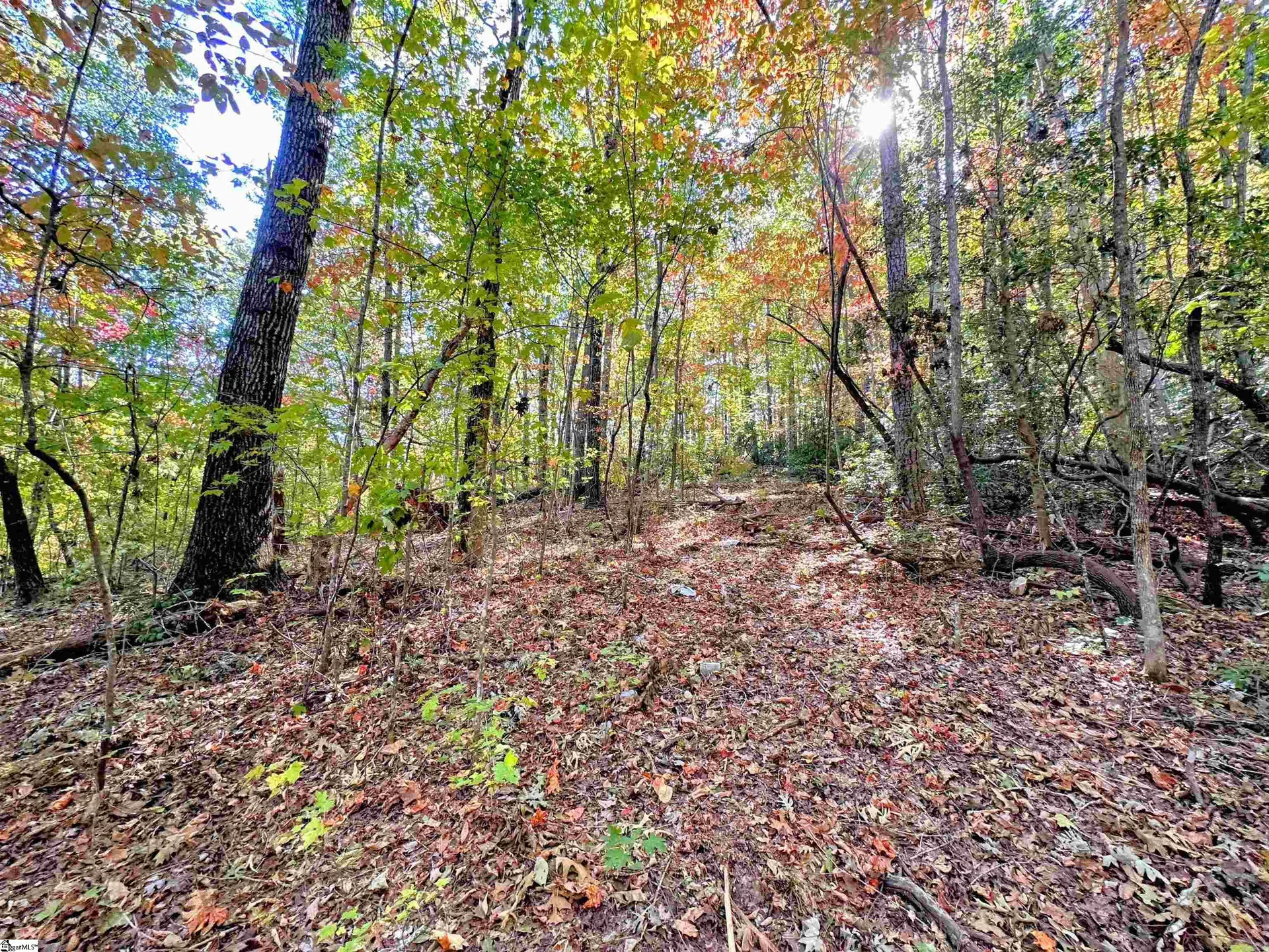 Property image 5 at 0000 Forest Drive, Travelers Rest, SC 29690