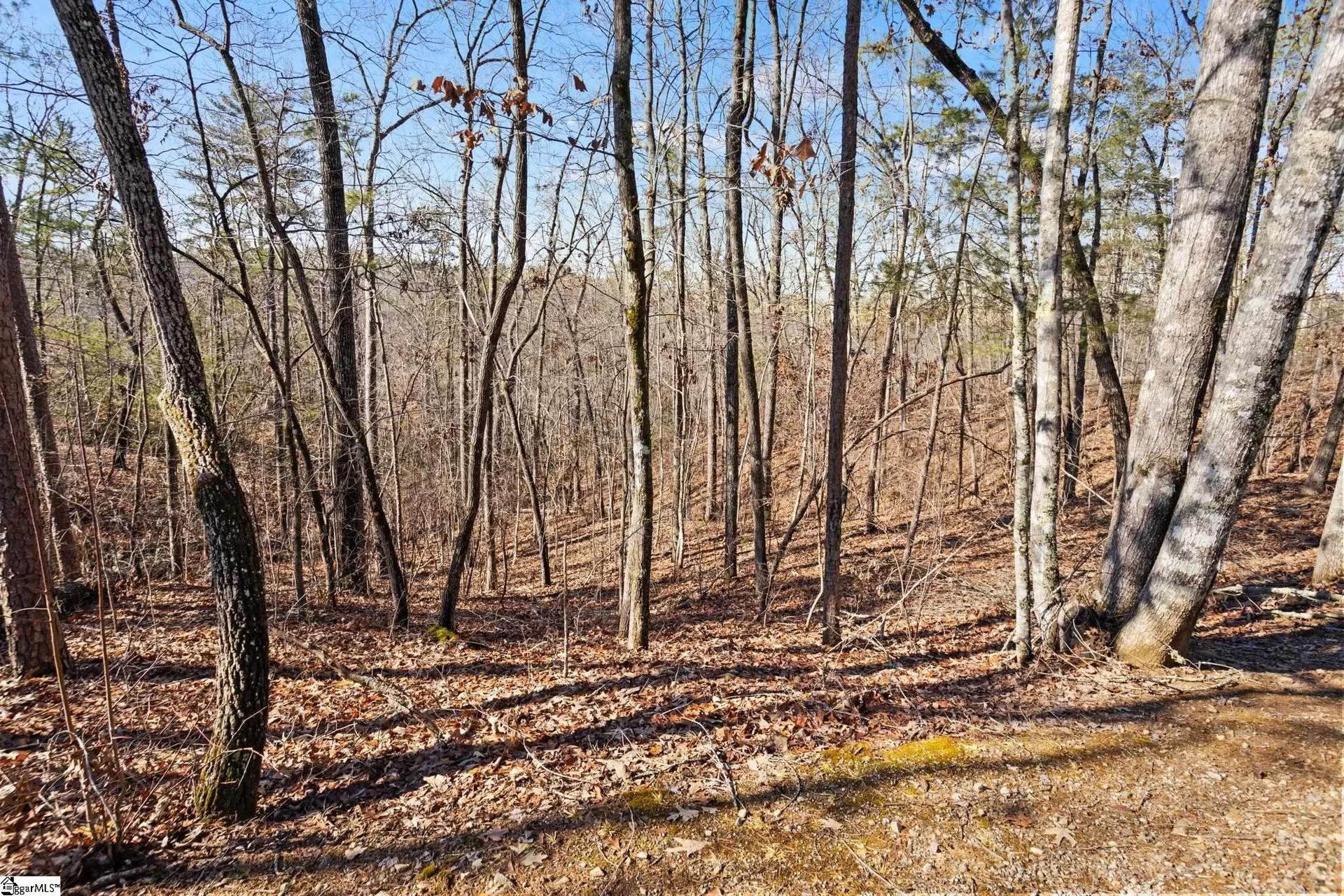 Property image 2 at 240 Jocassee Point Road, Salem, SC 29676