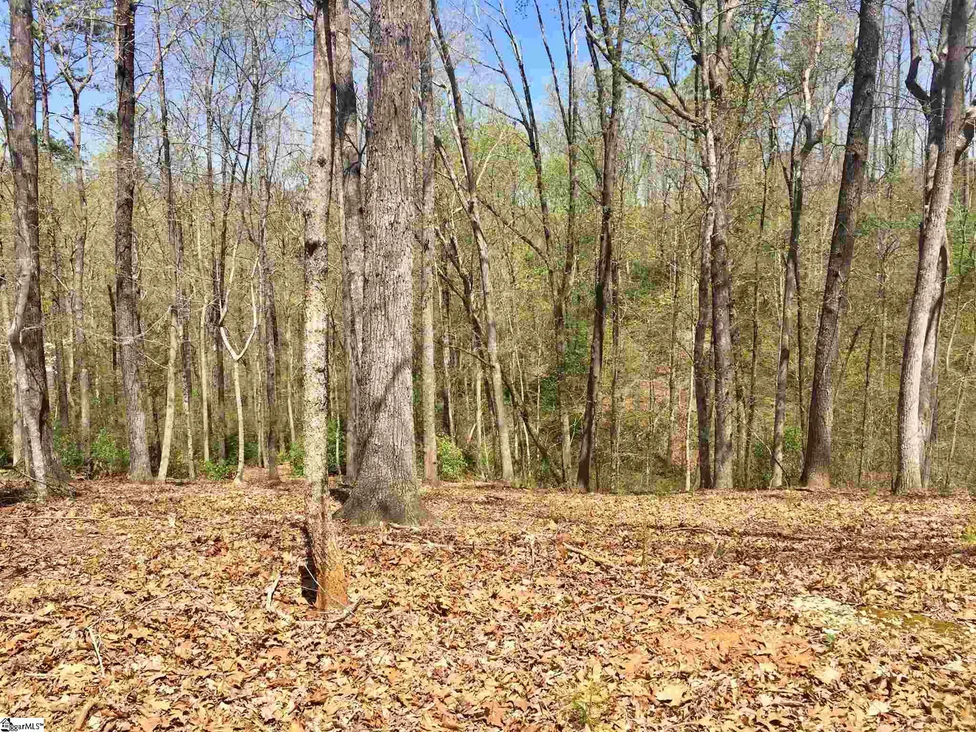 Property image 2 at 110 Black Knight Trail, Travelers Rest, SC 29690