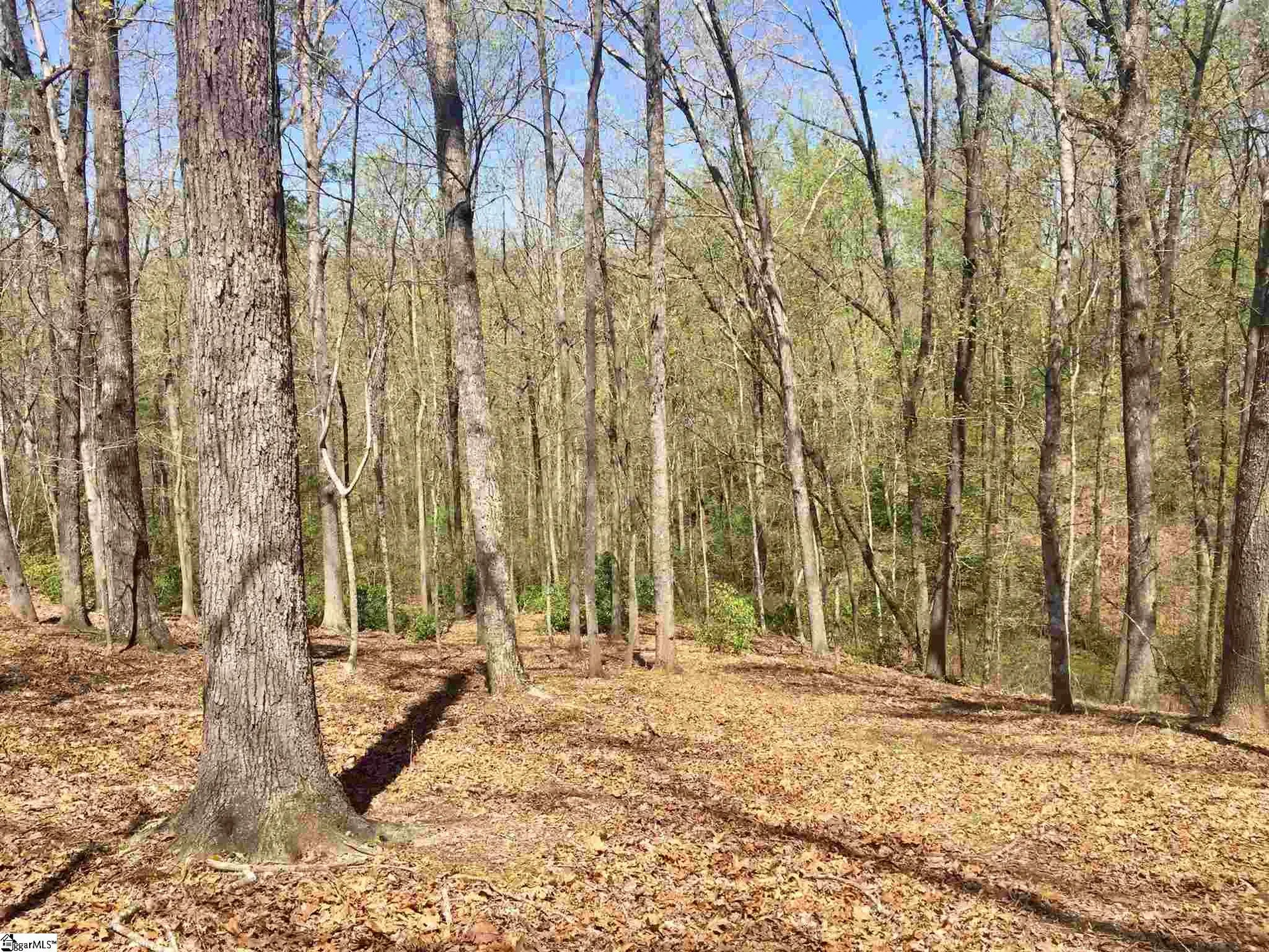 Property image 3 at 110 Black Knight Trail, Travelers Rest, SC 29690