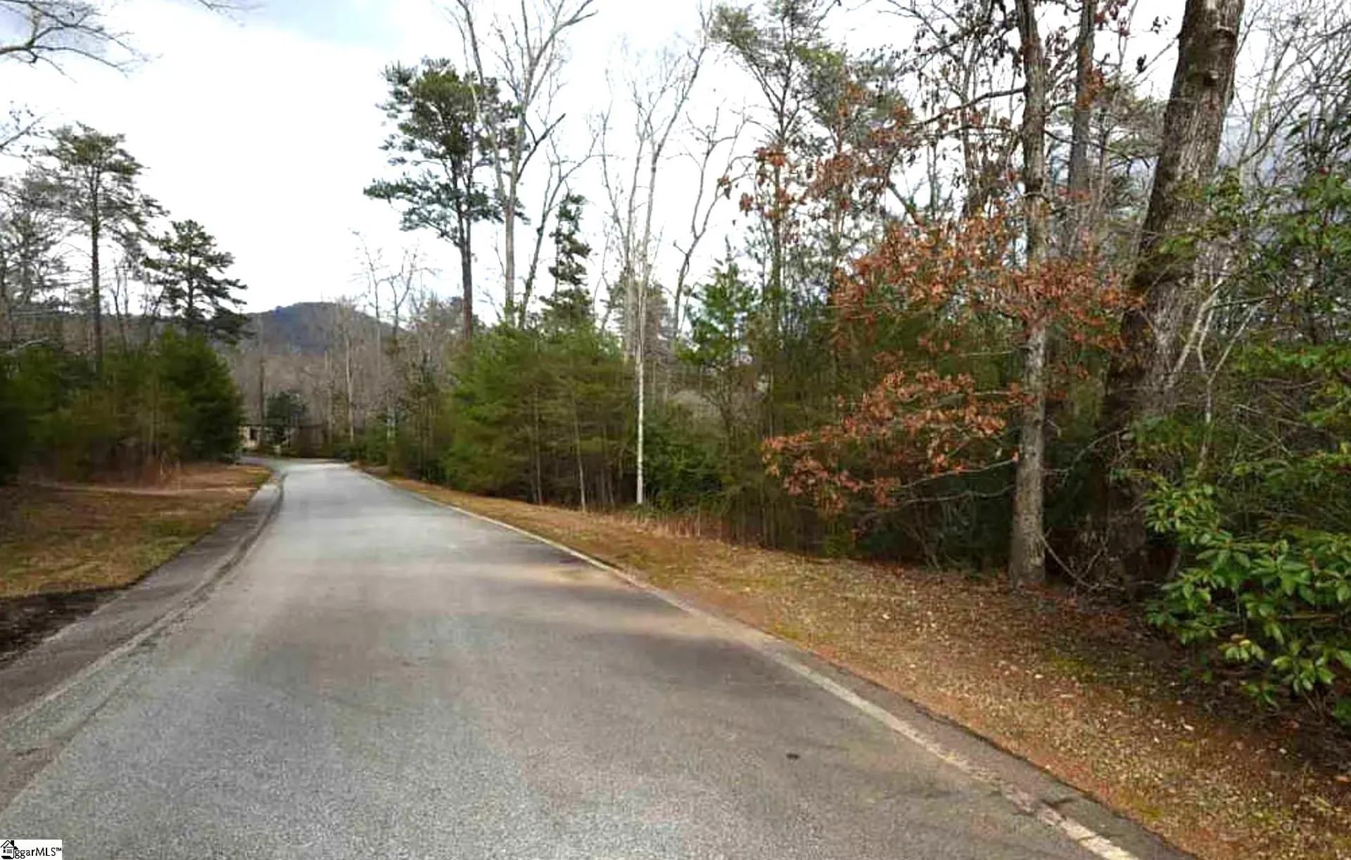 Property image 5 at 113 Valley Lake Trail, Travelers Rest, SC 29690