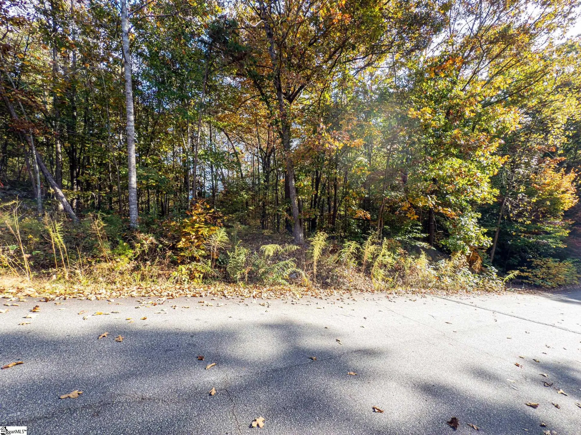 Property image 5 at 00 Bay Drive, Fair Play, SC 29643