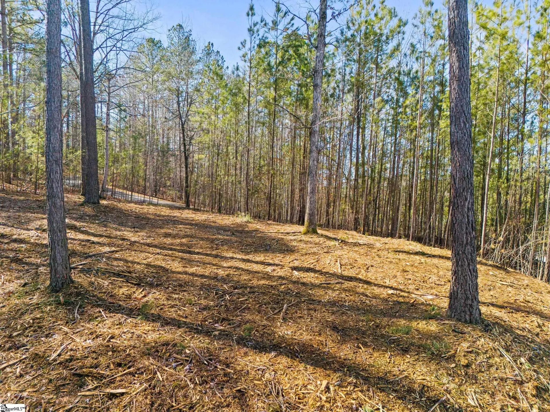 Property image 4 at 0 Long Cove Trail, Salem, SC 29676