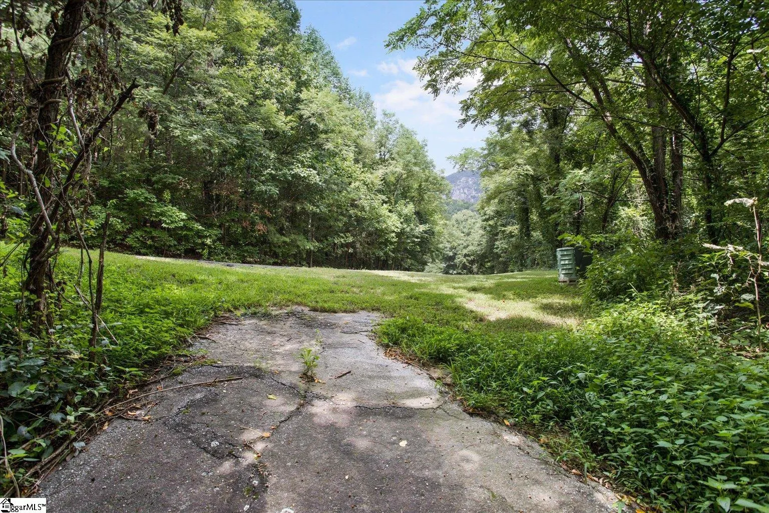 Property image 5 at 234 Craggy Rock Lane, Landrum, SC 29356