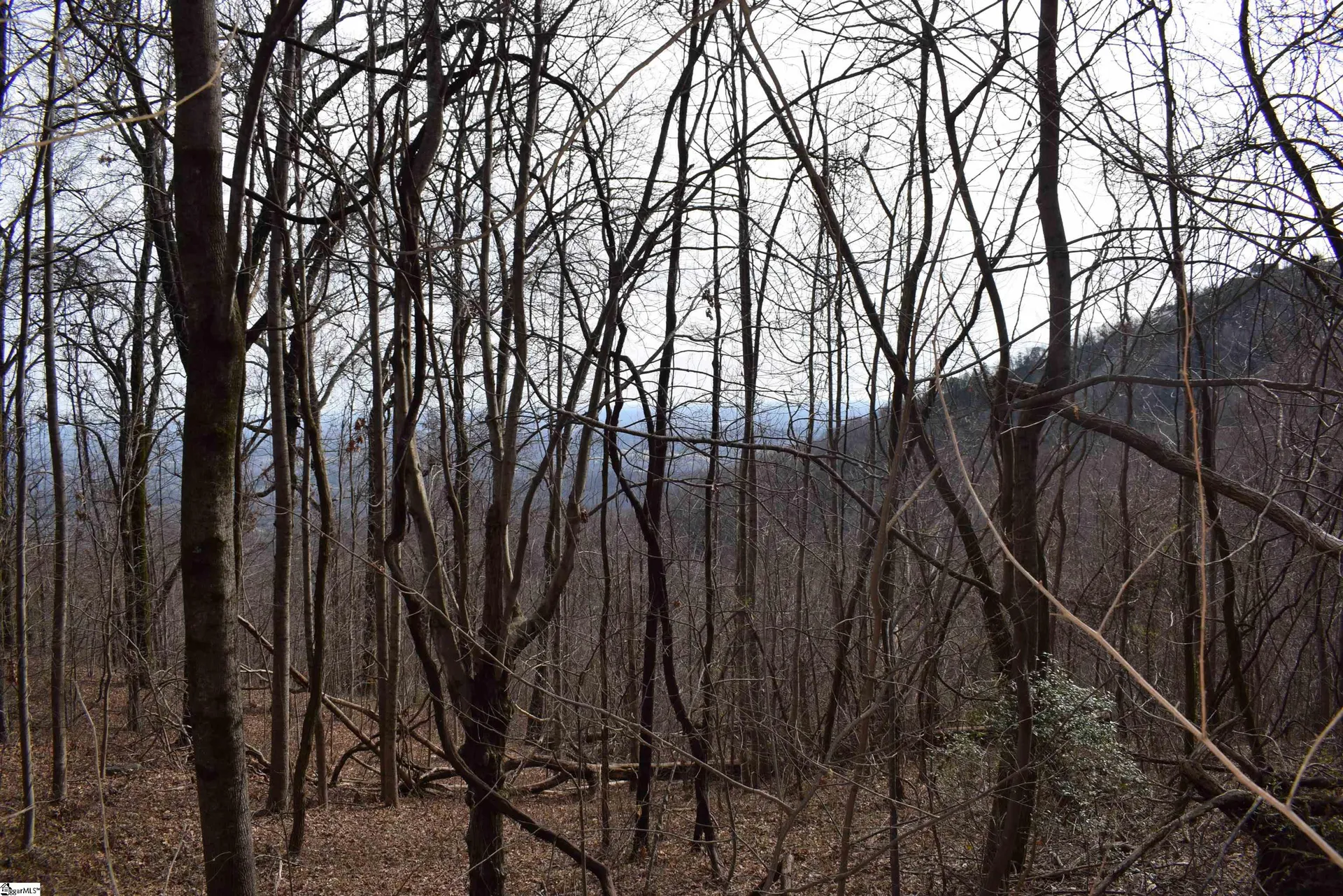 1195 Plumley Summit Road