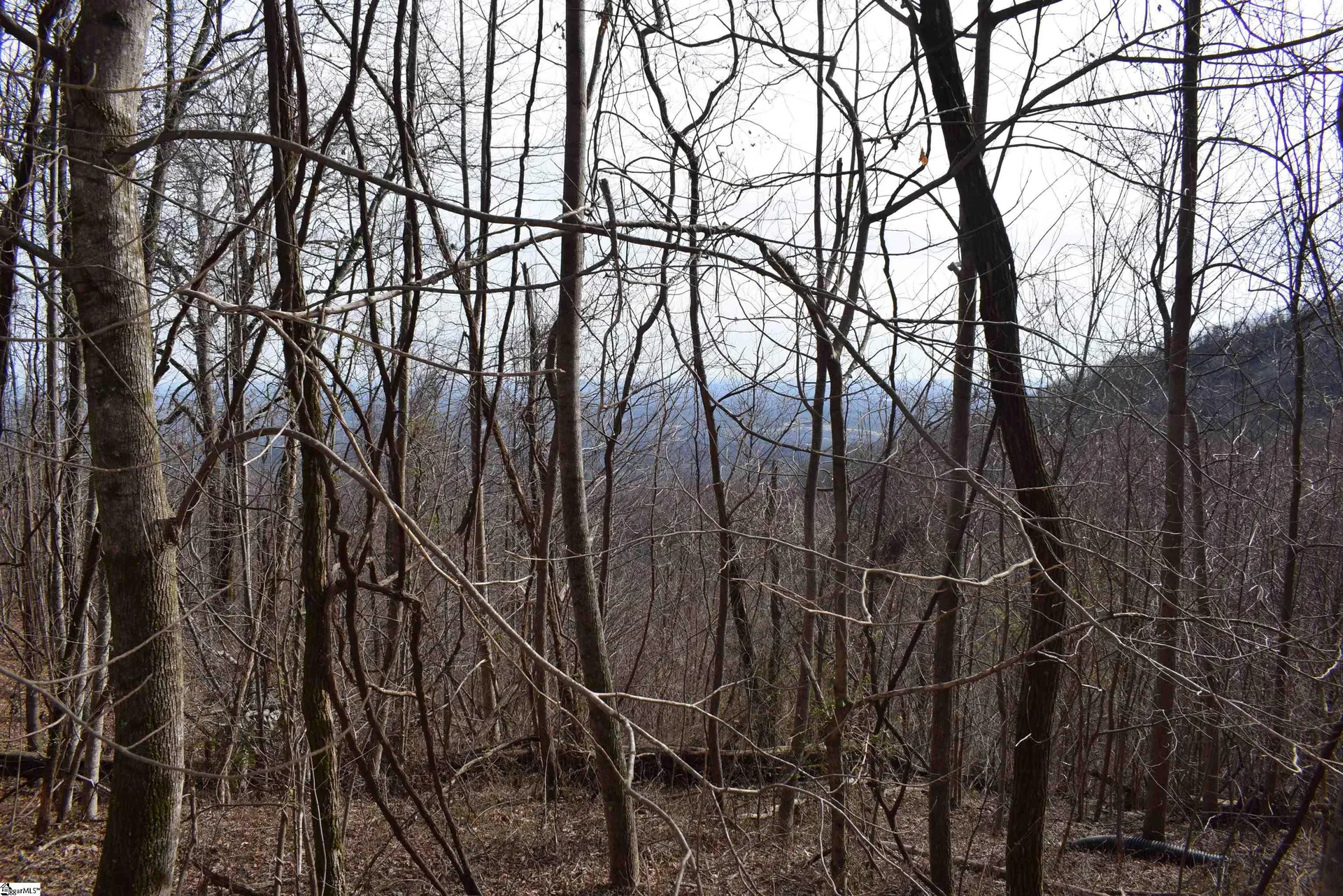Property image 2 at 1195 Plumley Summit Road, Landrum, SC 29356