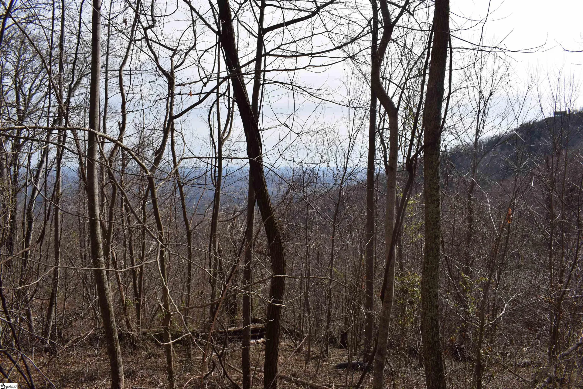 Property image 3 at 1195 Plumley Summit Road, Landrum, SC 29356