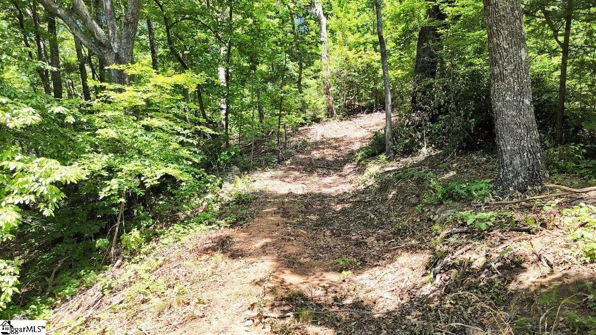 146 Glassy Falls Trail