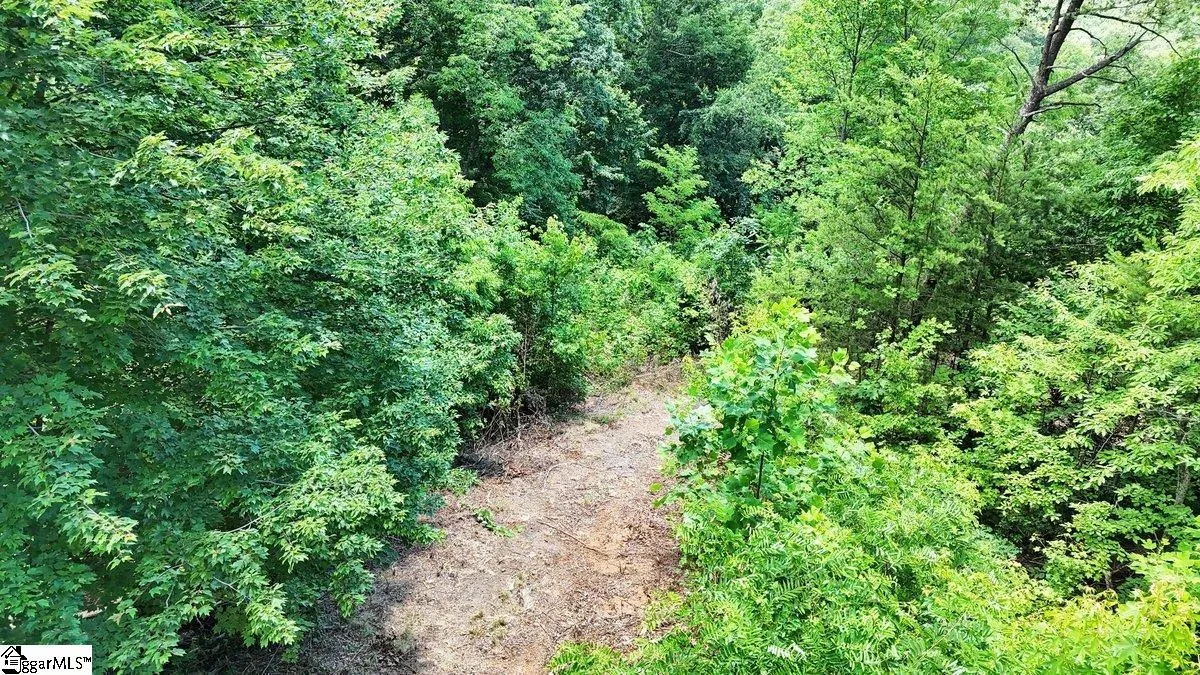 Property image 3 at 146 Glassy Falls Trail, Travelers Rest, SC 29690