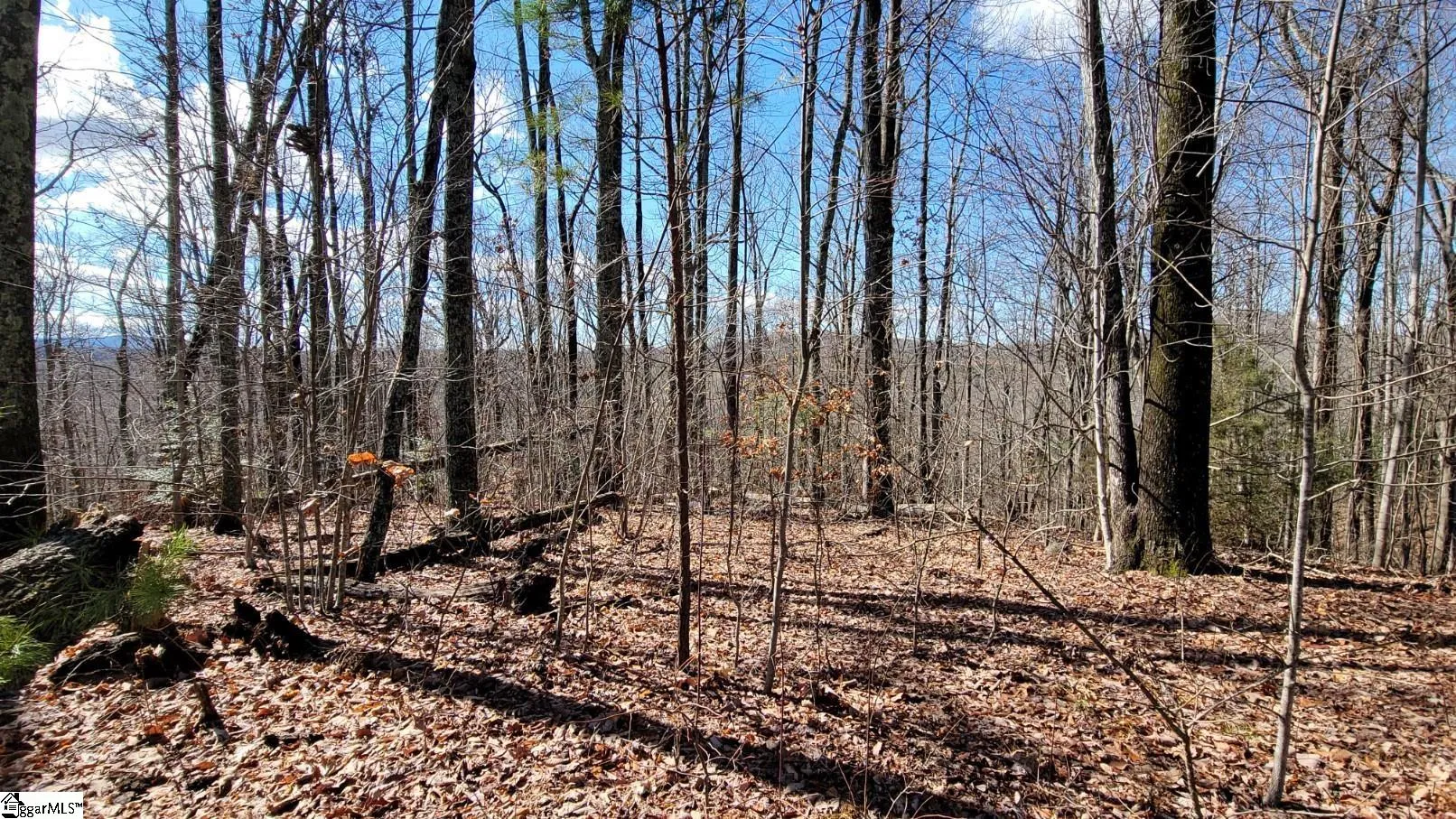 Property image 4 at 24 Valley Crest Court, Travelers Rest, SC 29690