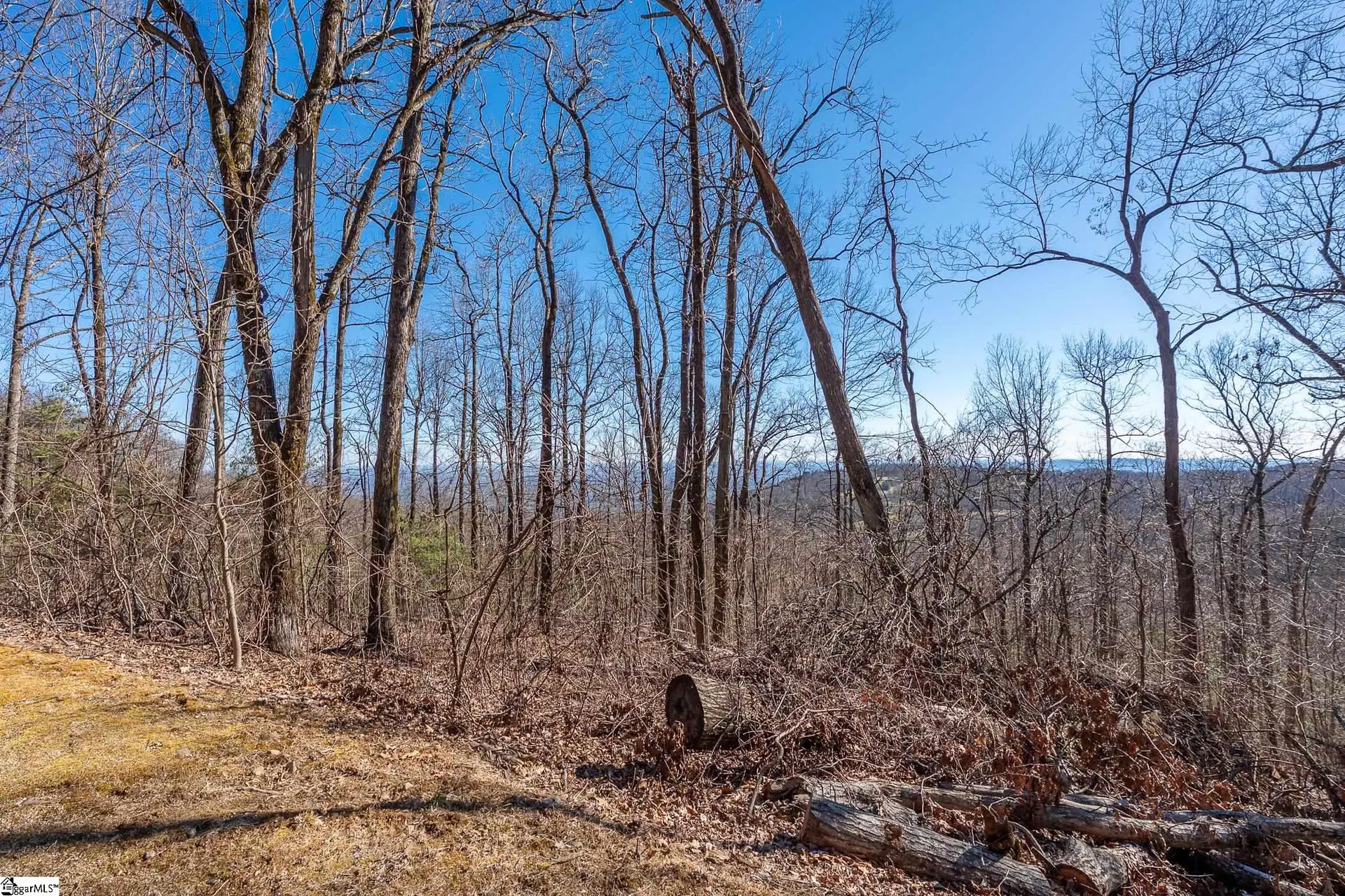 00 Wild Ginger Road