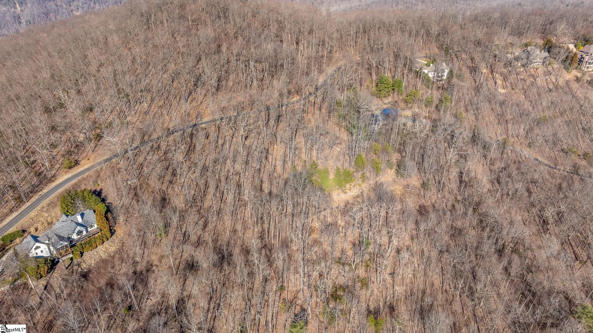 Property image 5 at 00 Wild Ginger Road, Landrum, SC 29356-3329
