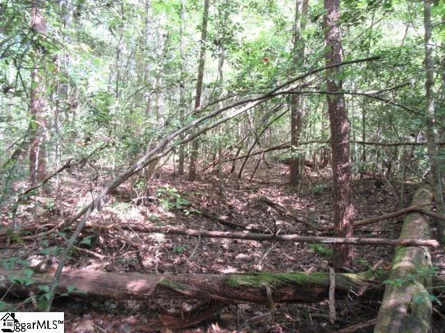 Property image 2 at 118 Hambys Way, Pickens, SC 29671