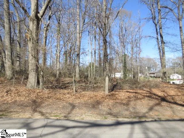 Property image 2 at Tbd Horse Shoe Bend, Anderson, SC 29625