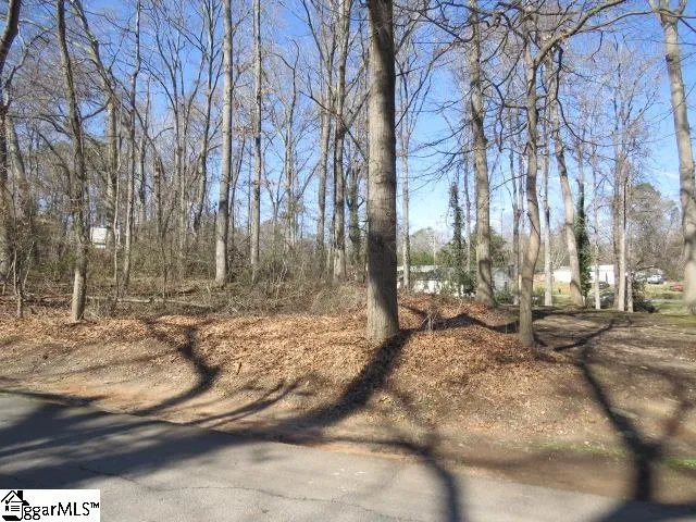 Property image 3 at Tbd Horse Shoe Bend, Anderson, SC 29625