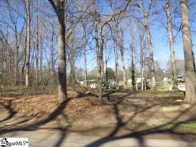 Property image 5 at Tbd Horse Shoe Bend, Anderson, SC 29625