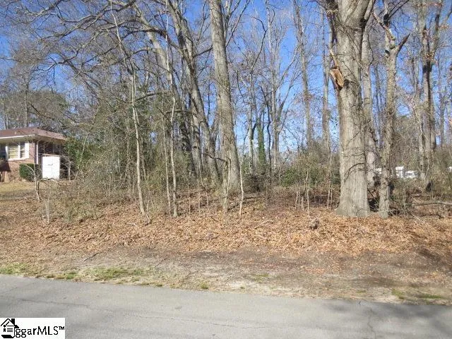 Property image 4 at Tbd Horse Shoe Bend, Anderson, SC 29625