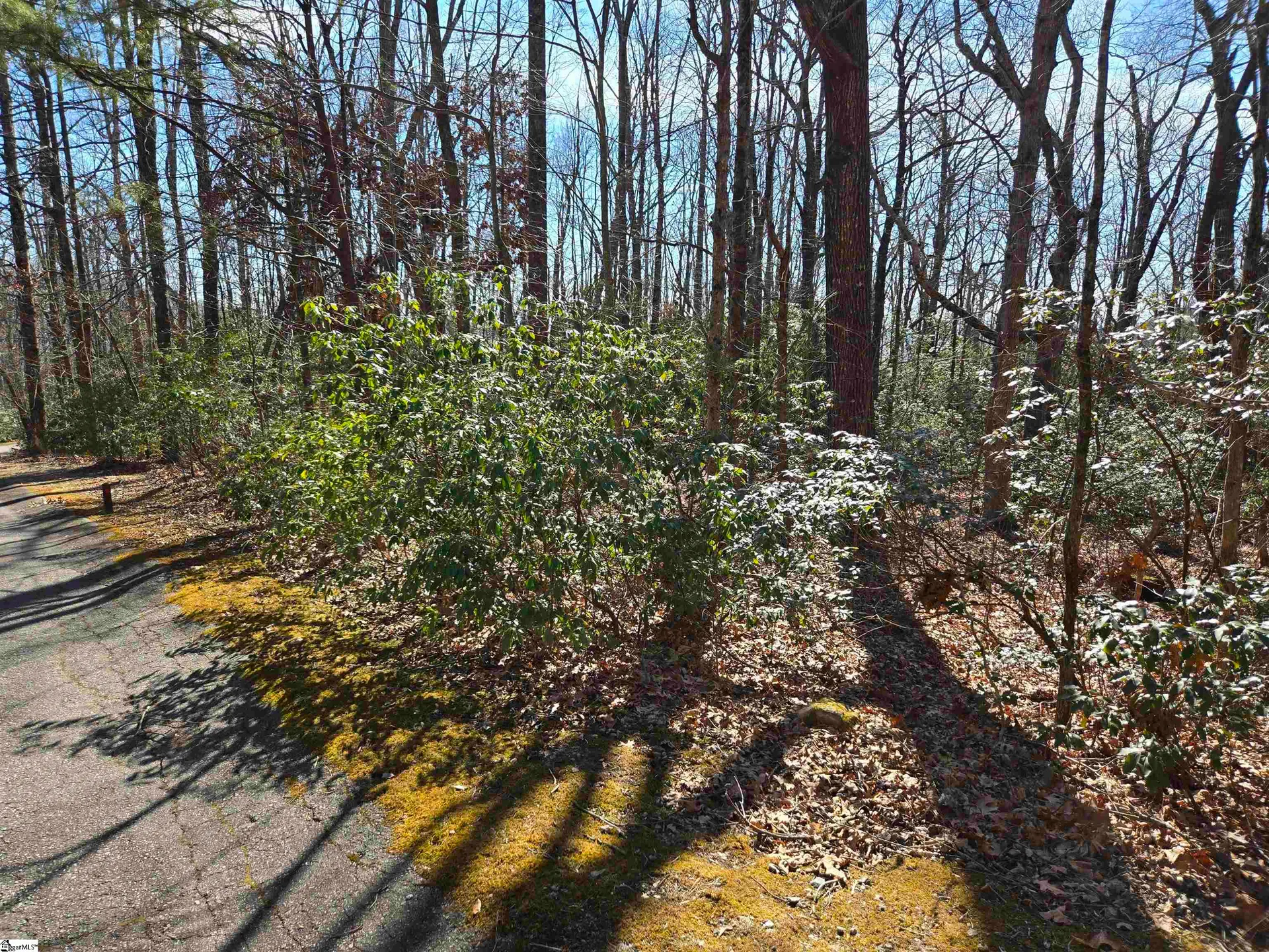 Property image 2 at 120 Birchbend, Cleveland, SC 29635