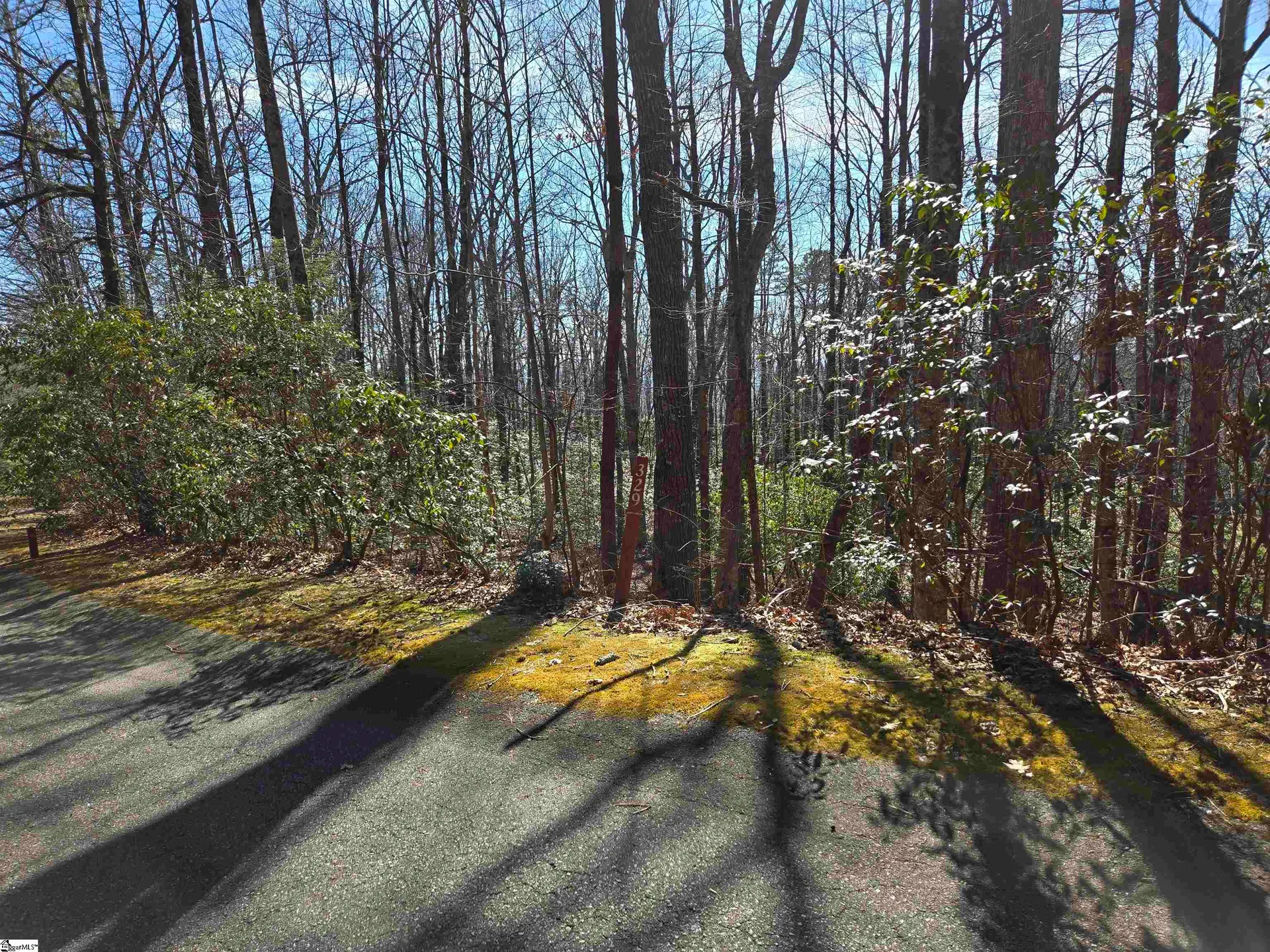 116 Birchbend