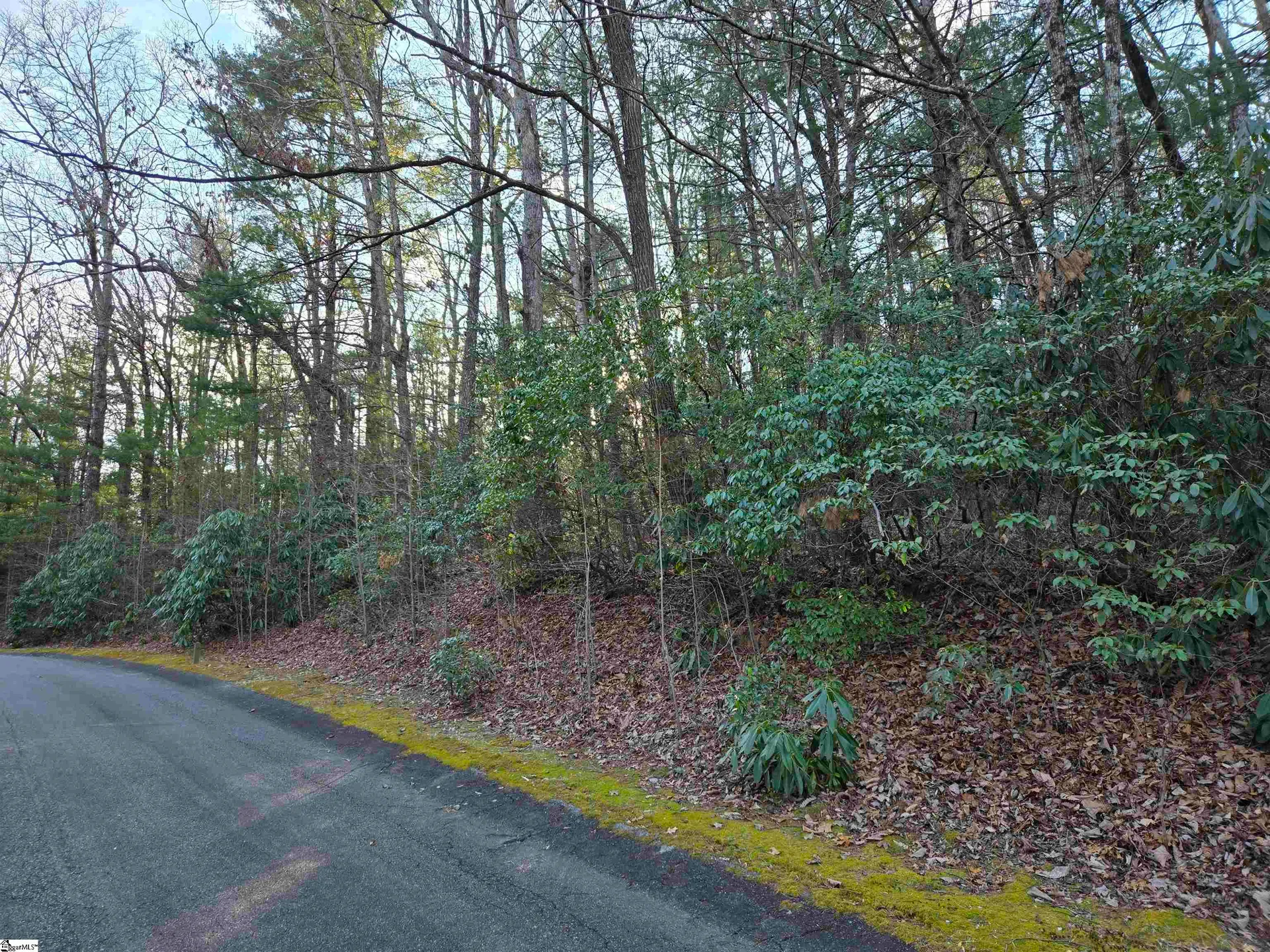 Property image 3 at 56 Cliff Ridge Drive, Cleveland, SC 29635